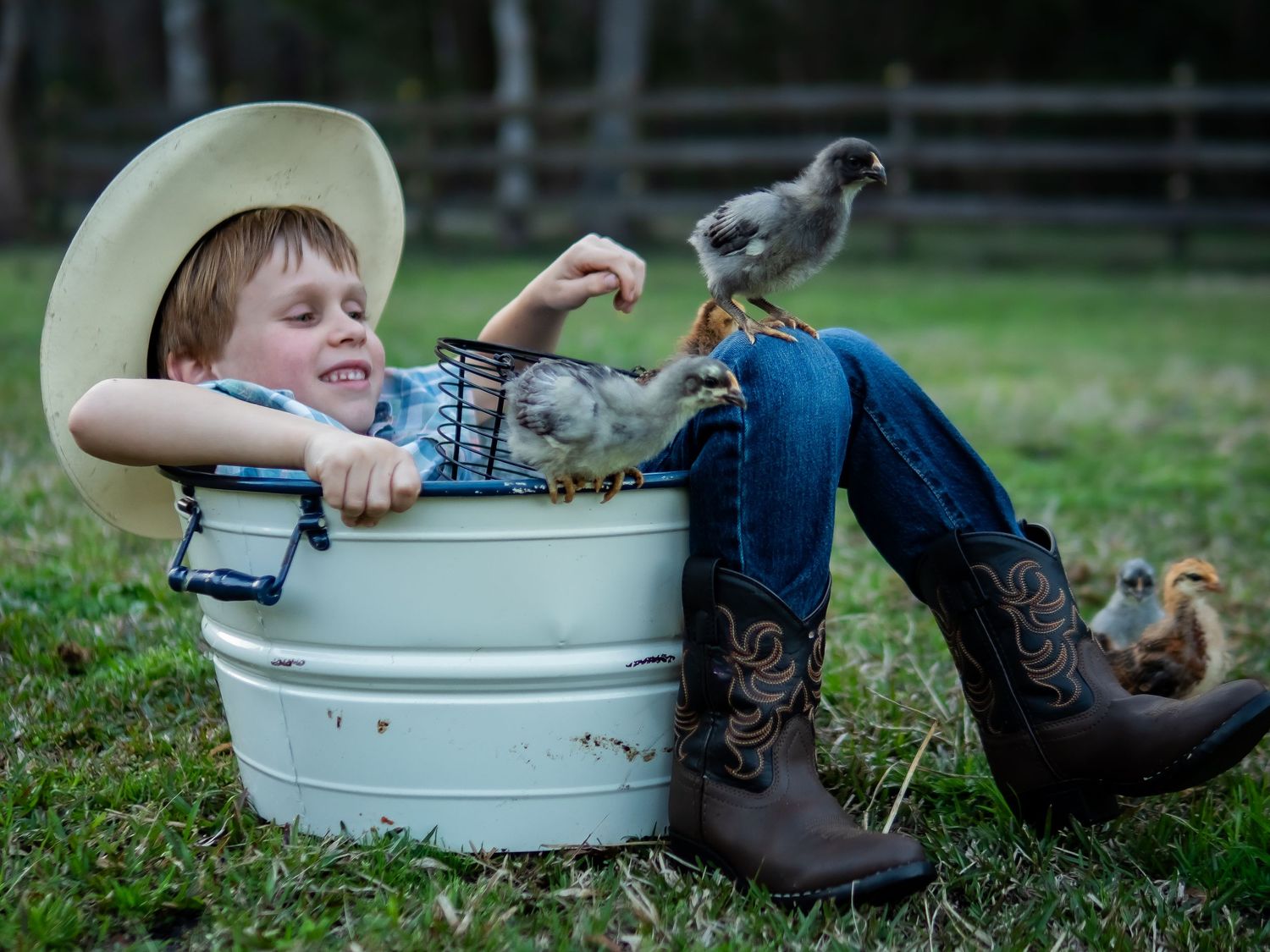 Portraits at Flew the Coop Farm