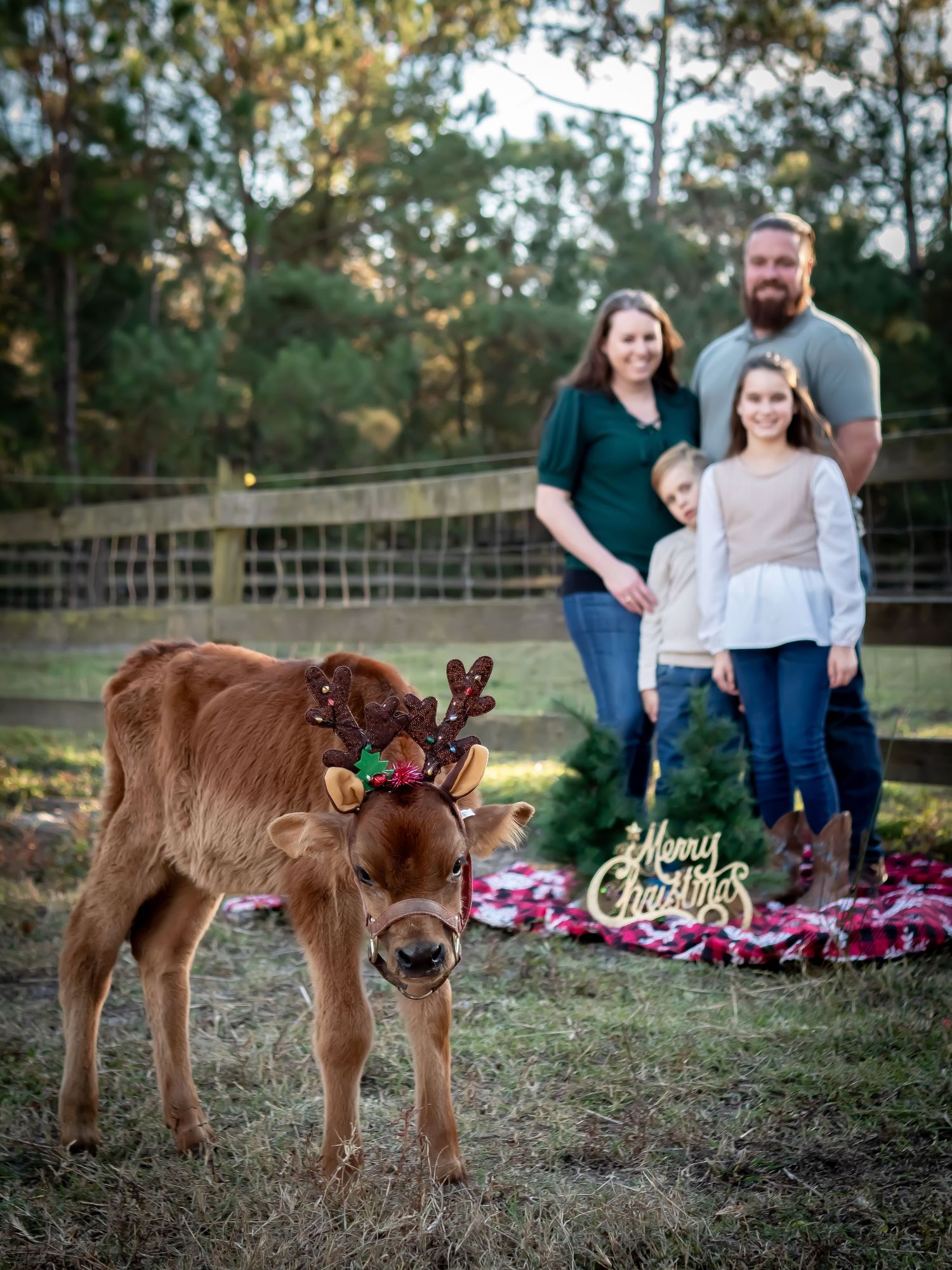 Cooper Family Portraits