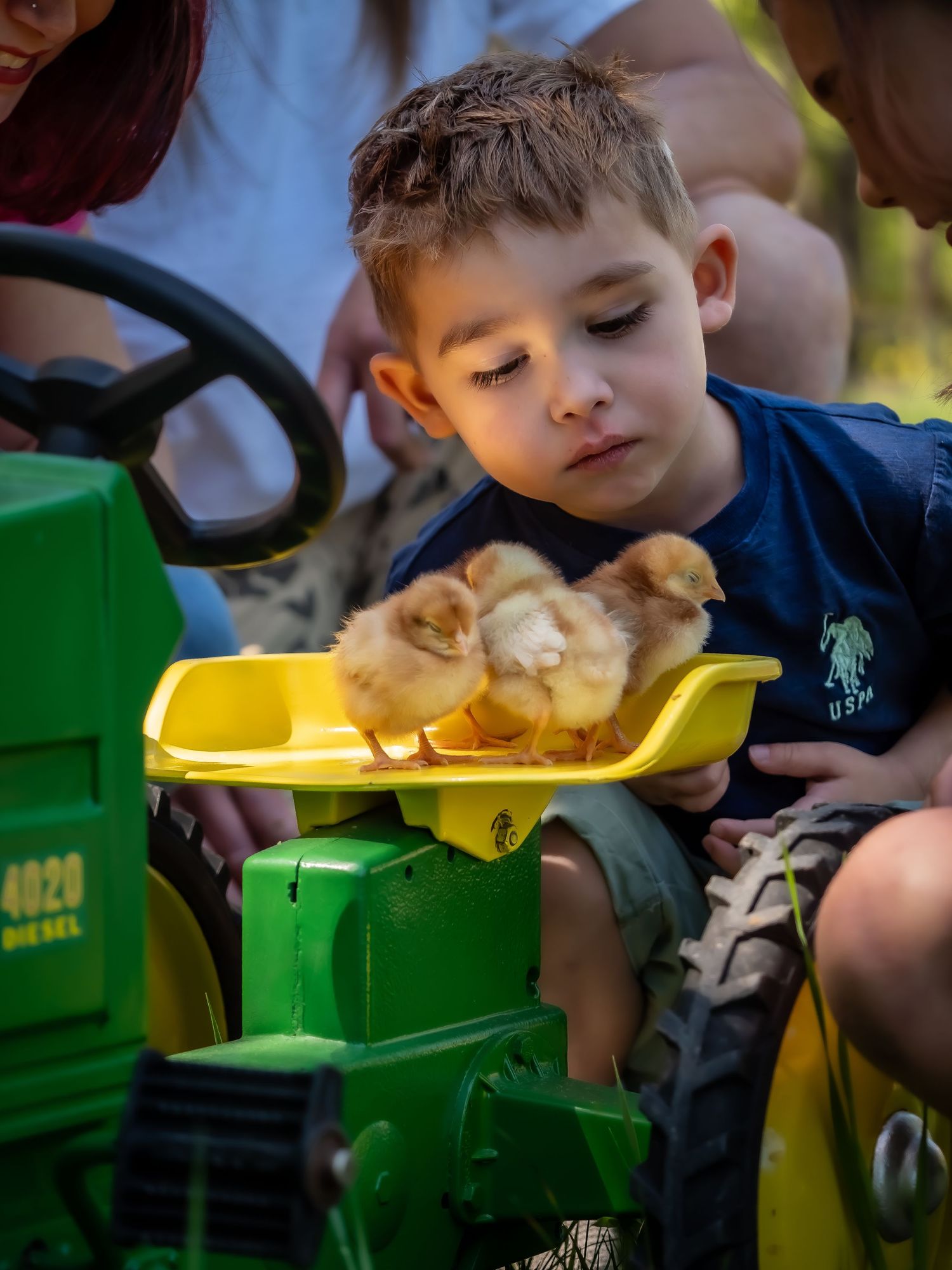 Portraits at Flew the Coop Farm