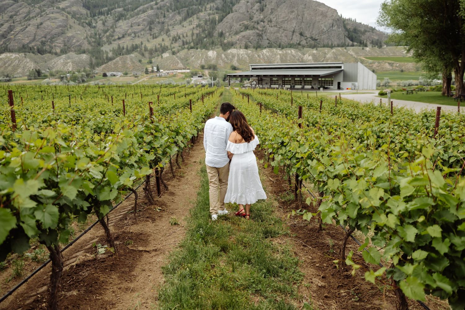 People dressed in white explore lush green vineyard rows against a mountainous backdrop during a sunny day.