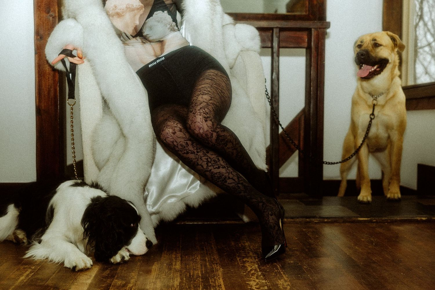 A person in lace tights poses with dogs in an interior setting.