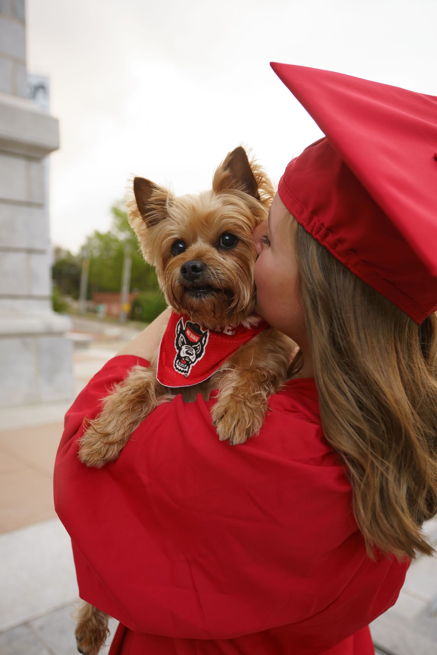 Graduate in red cap and gown kisses a Yorkshire Terrier wearing a matching red bandana at graduation ceremony.