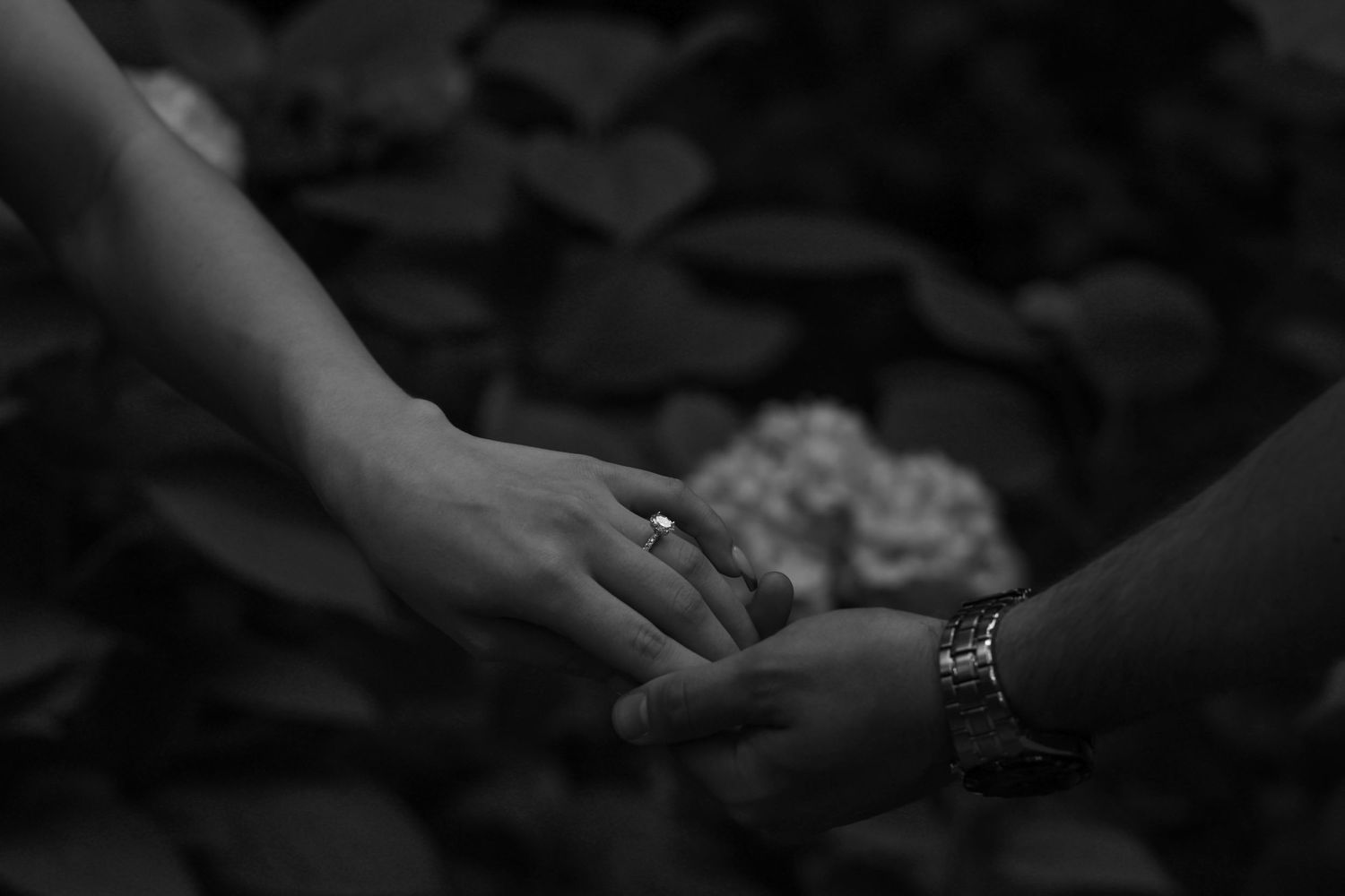 Black and white detail shot of hands with engagement rings touching.