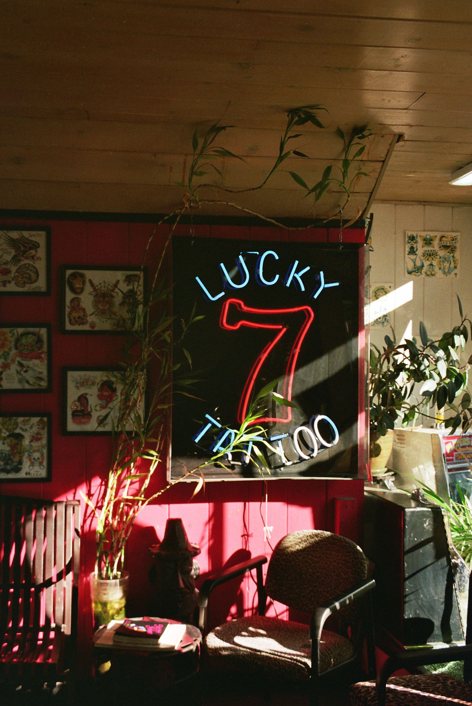 Neon sign reading Lucky 7 Tattoo glowing on dark wall inside a vintage tattoo parlor with plants and flash art.