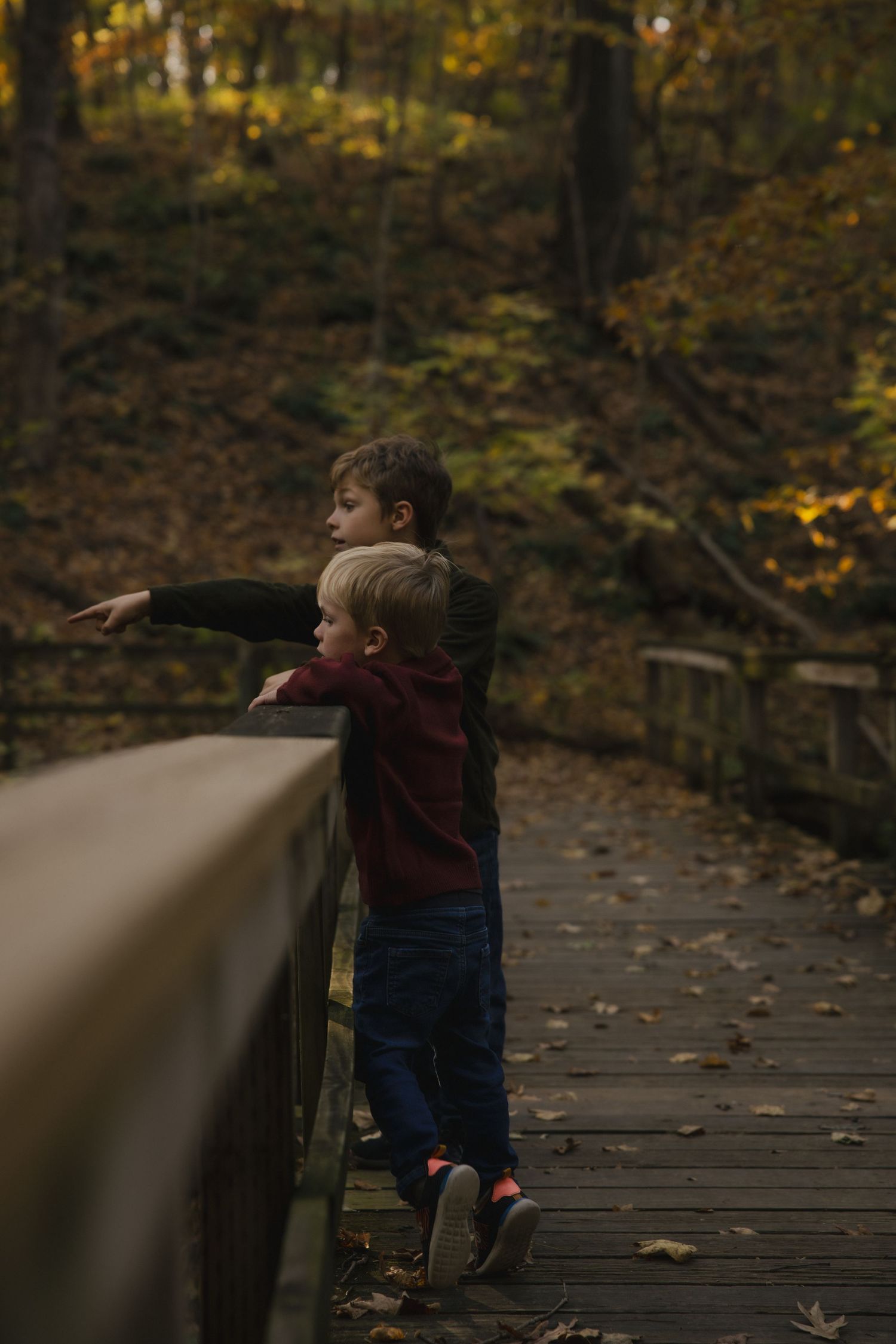 Two young boys stand on a wooden bridge in an autumn forest, one pointing into the colorful fall foliage.