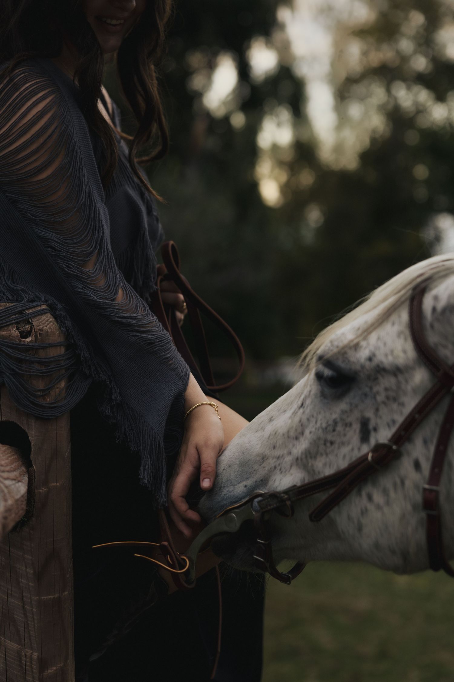 A series of close-up shots showing a person's hand gently petting and bonding with a white speckled horse in nature.