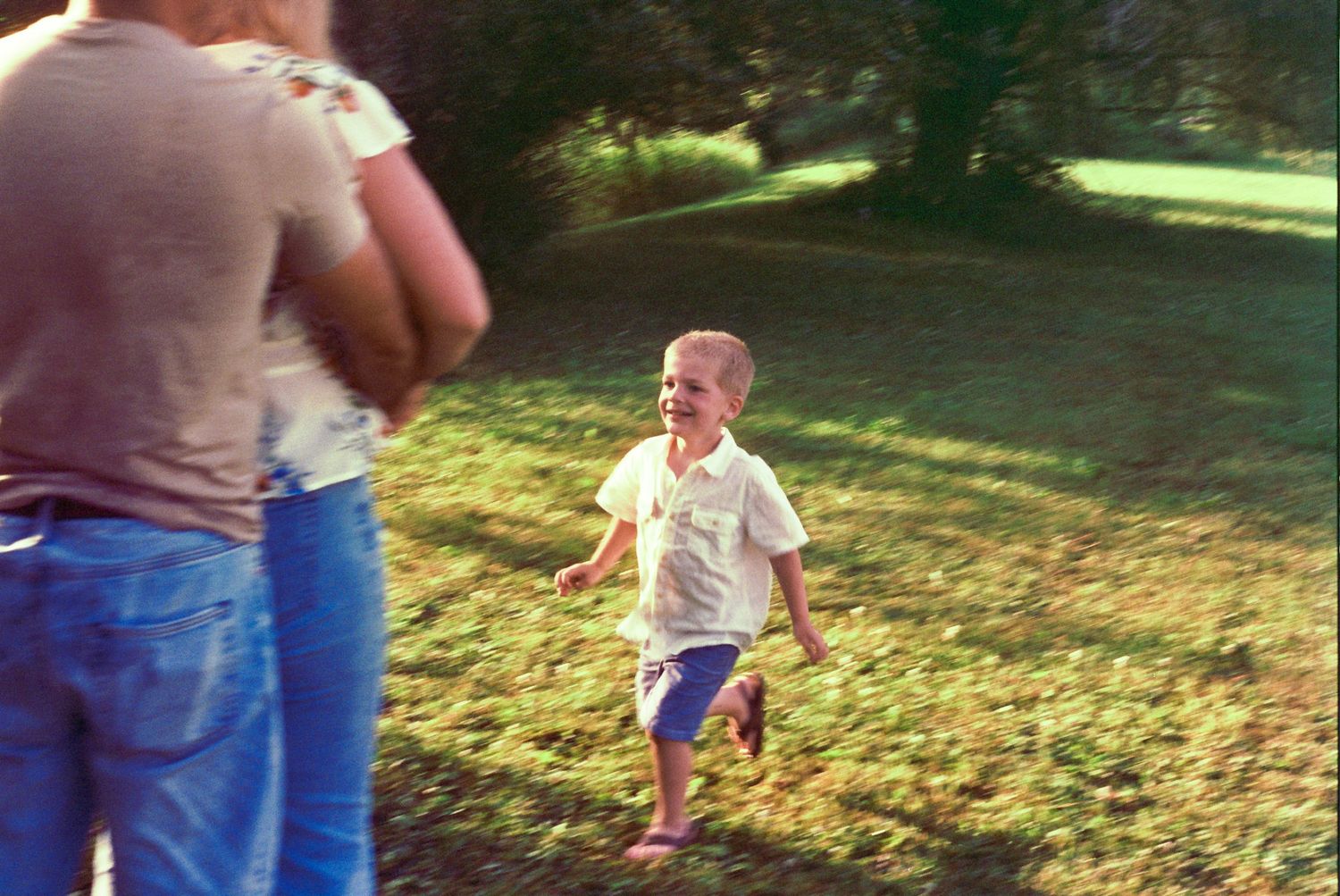 A collection of candid action shots showing people playing frisbee together in a sunny park setting.