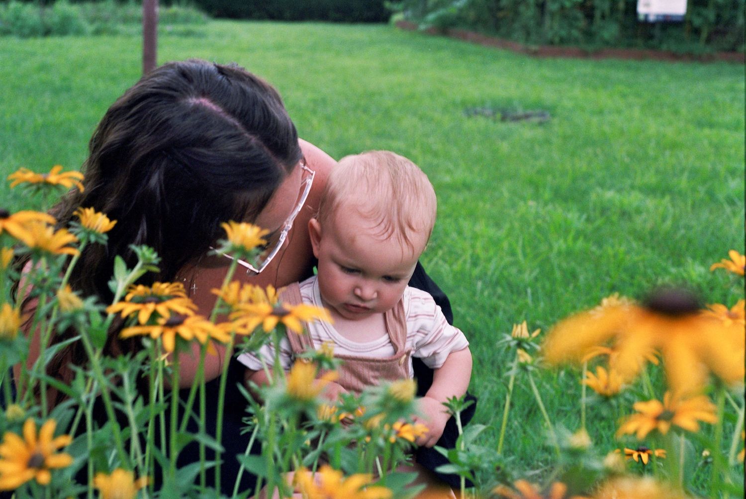 A young child explores yellow flowers in a lush garden while accompanied by an adult on a sunny day.
