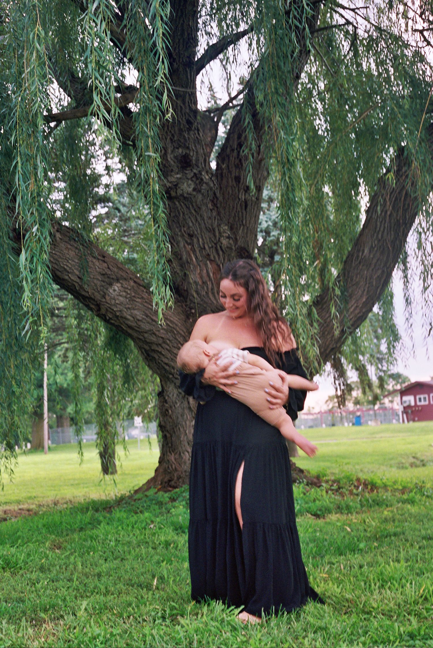 A loving moment captured beneath a weeping willow tree in a peaceful park setting.