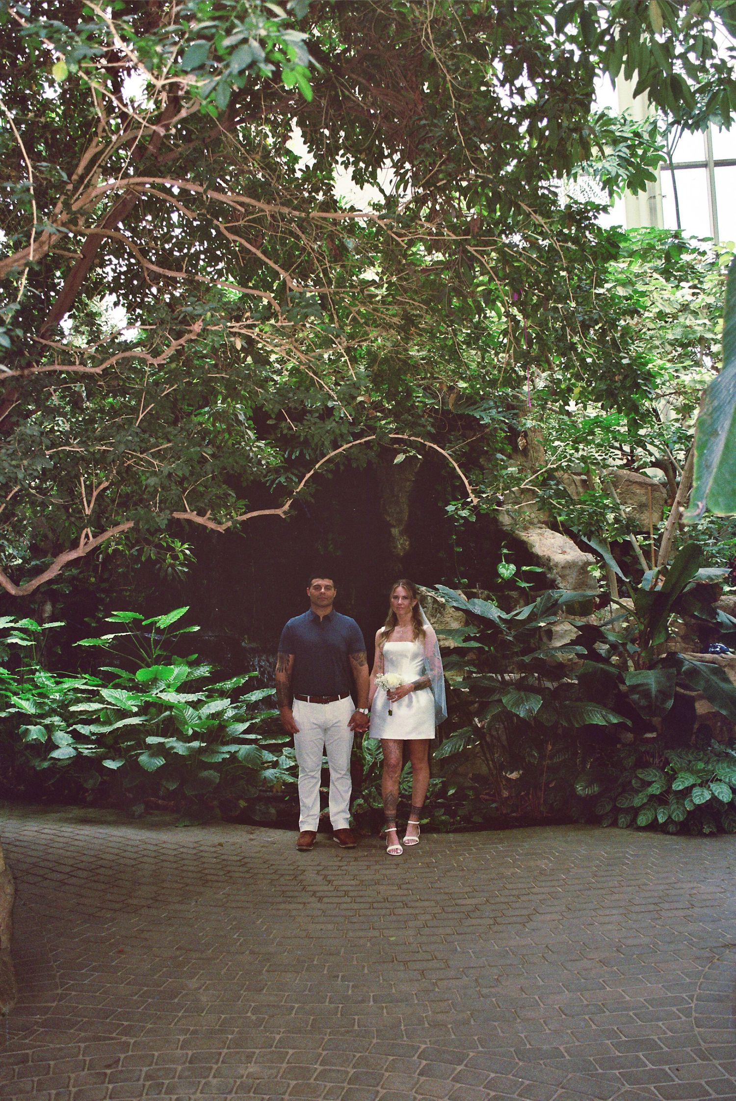 A couple holds hands on a brick path surrounded by lush tropical greenery inside a botanical garden.