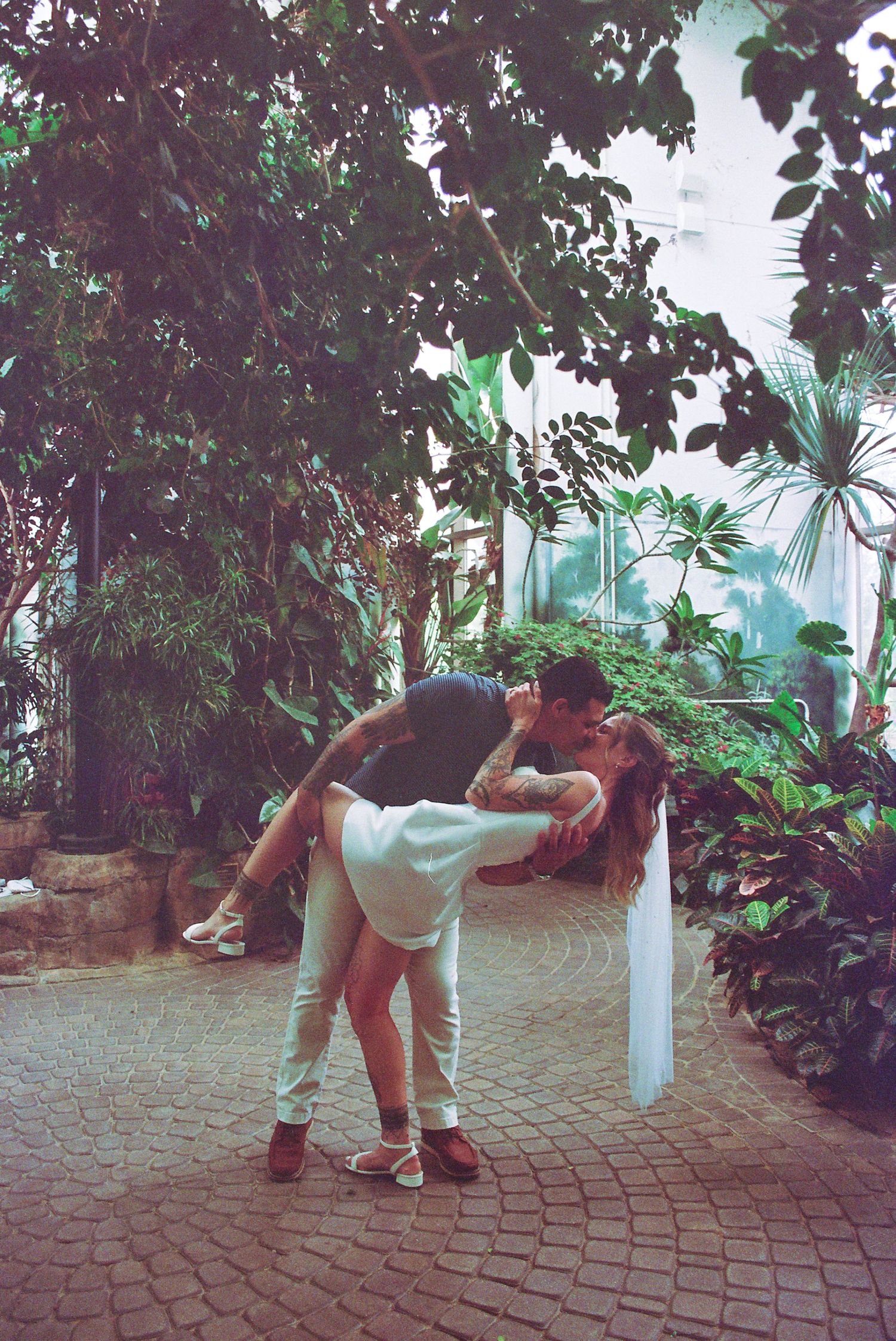 Couple sharing a romantic dip kiss surrounded by lush tropical plants in a greenhouse botanical garden.