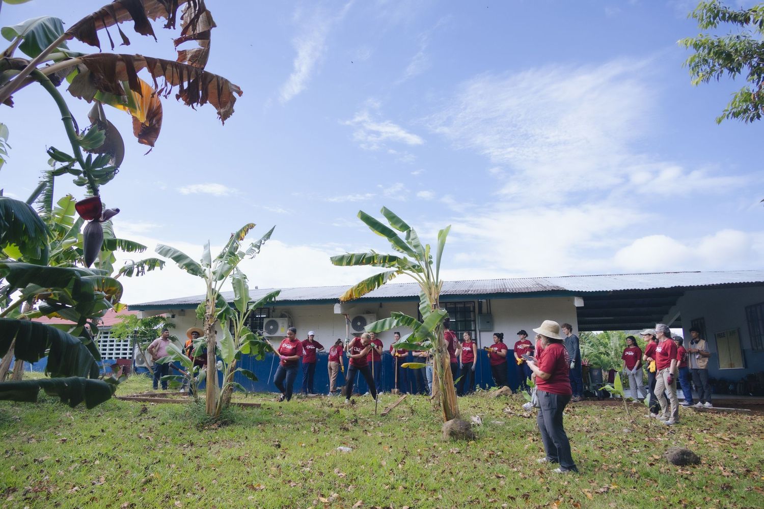 Group of people in red shirts gathered outdoors near banana trees and a building under a blue sky.