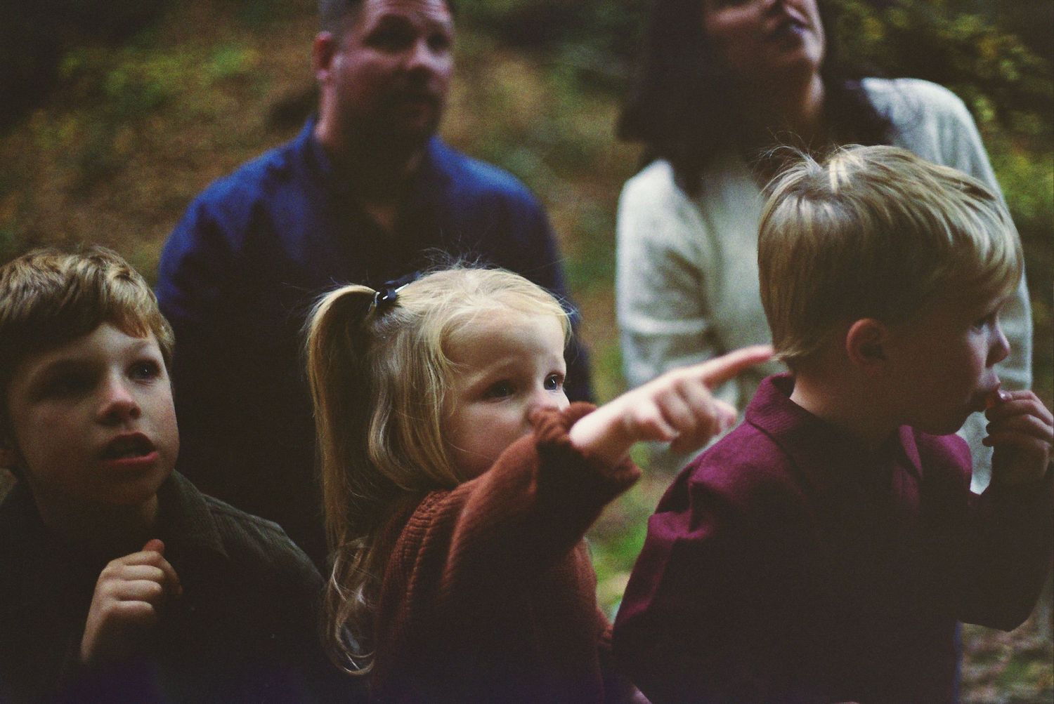 Children gather outdoors in a natural setting, looking up with wonder and curiosity at something above them.