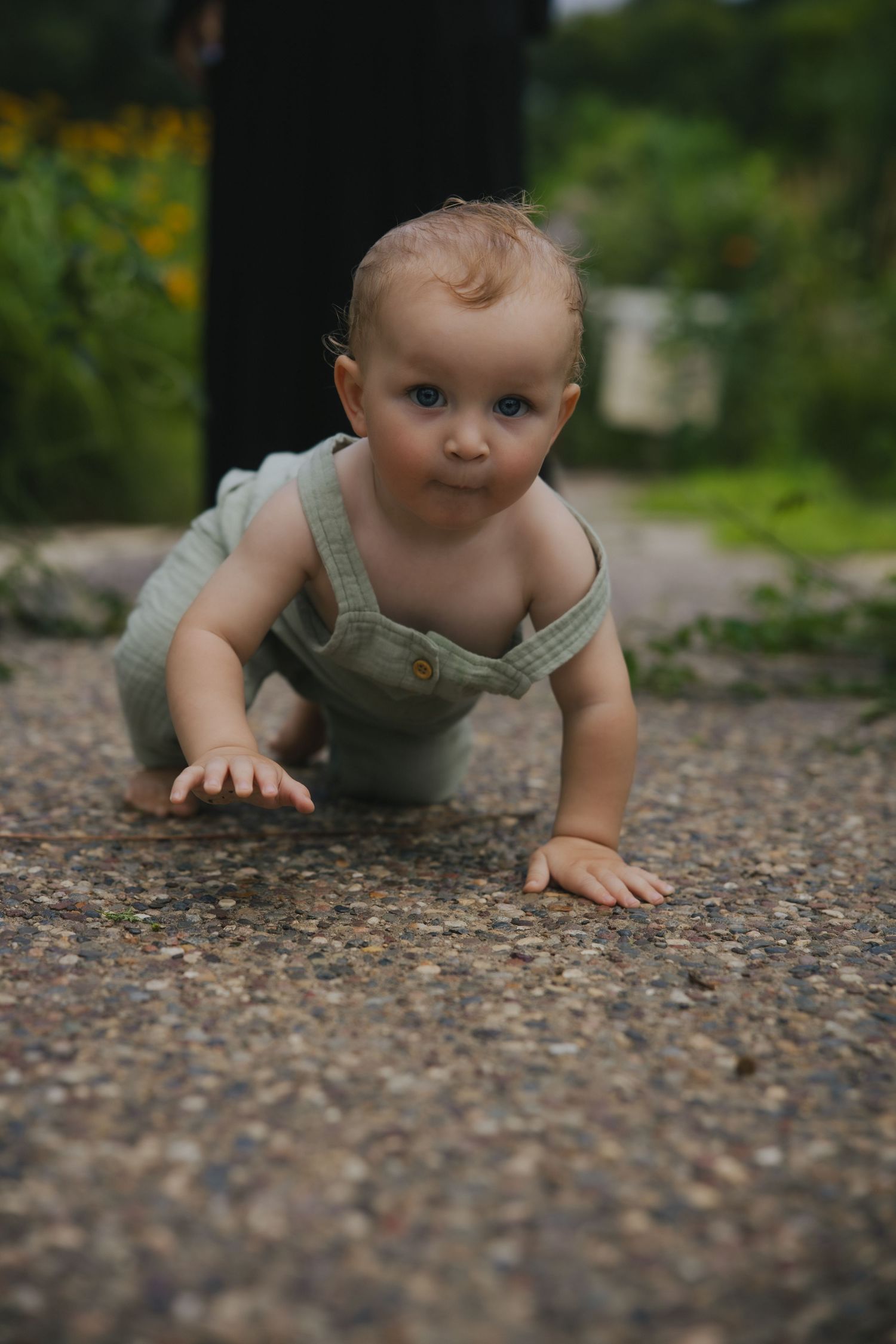 Small baby in green overalls crawls on a gravel path surrounded by green foliage.