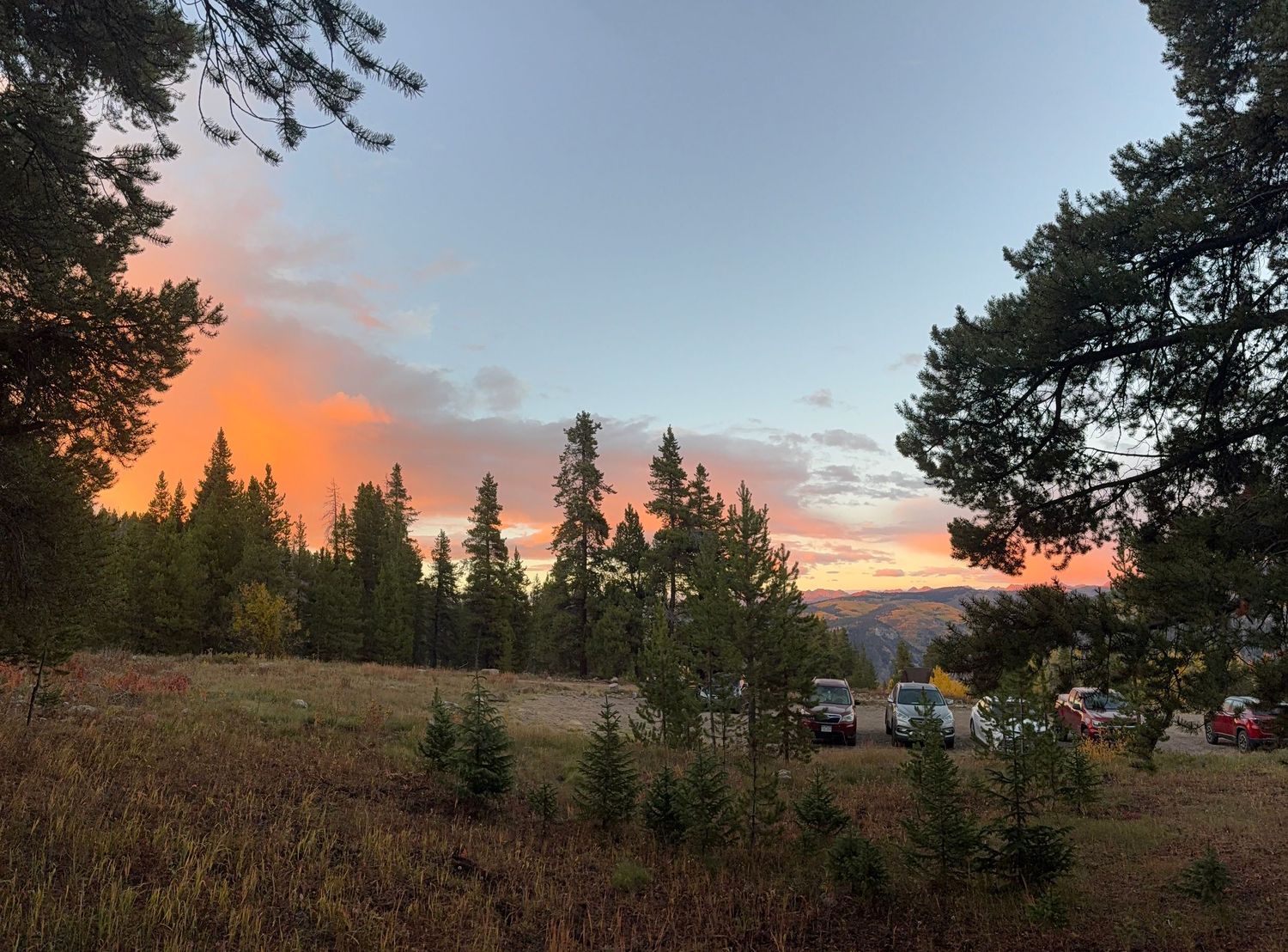 A panoramic sequence of sunset views over a forested hillside with orange and pink skies.