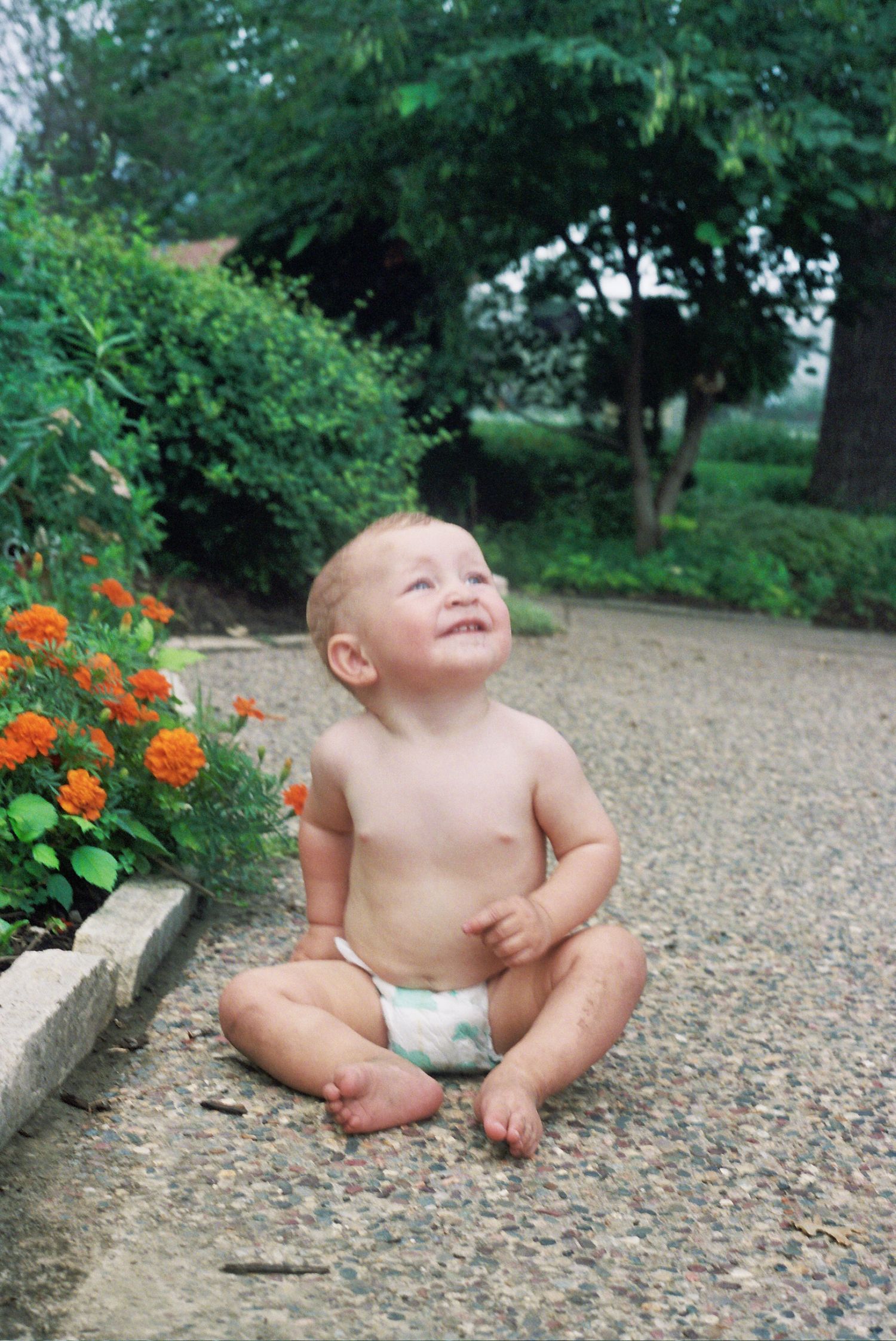 A baby sits on a gravel path near orange marigold flowers in a summer garden setting.