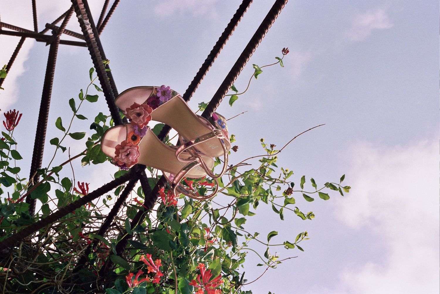 Someone swings on an outdoor swing set among green foliage and pink flowers against a blue sky.