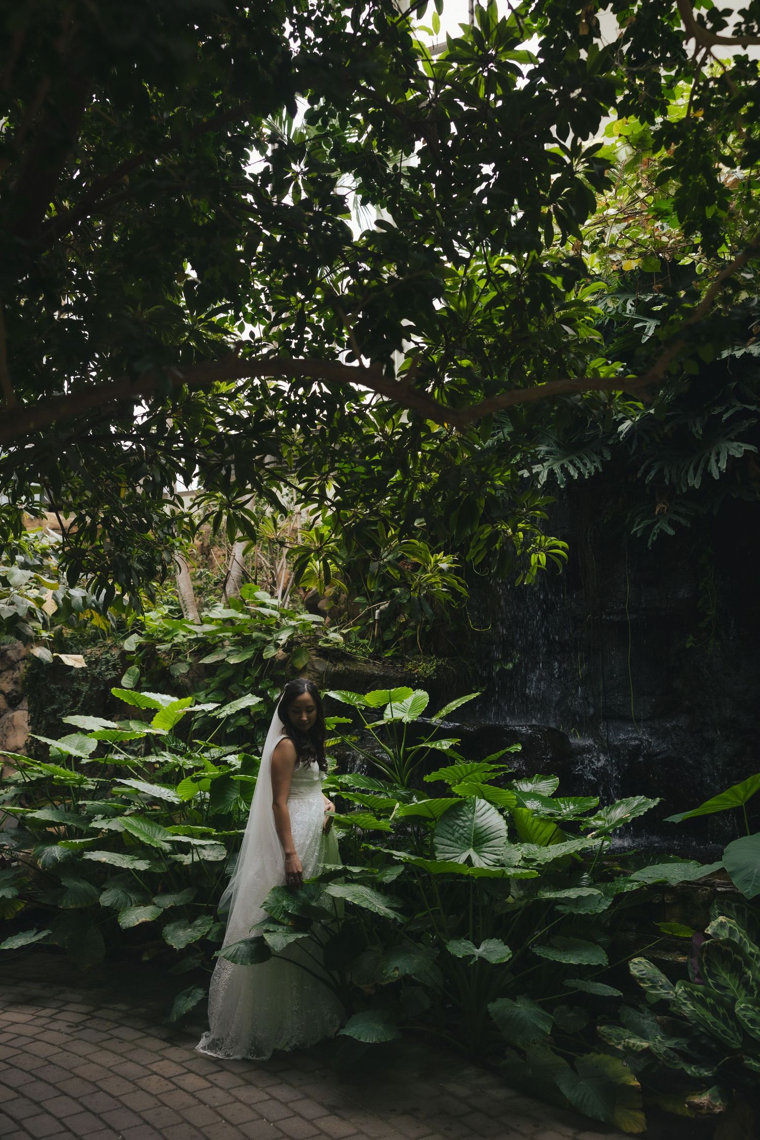 Bride in white gown and veil standing among lush tropical greenery and large leafy plants in a garden setting.