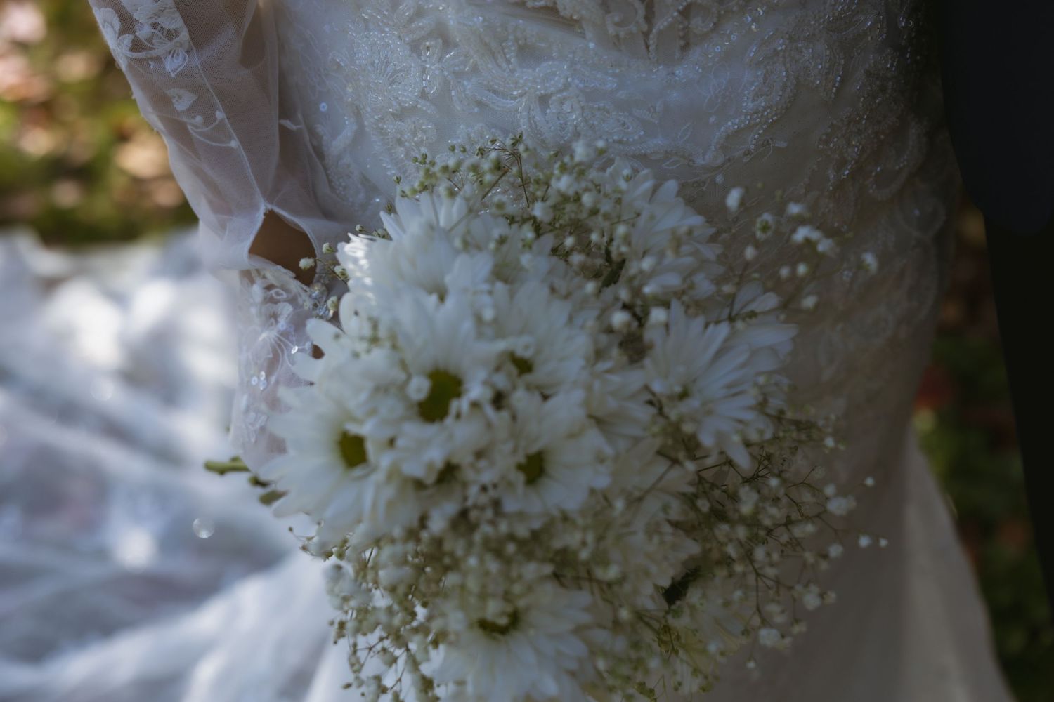 Close-up view of delicate white Queen Anne's Lace wildflowers blooming in a garden setting.