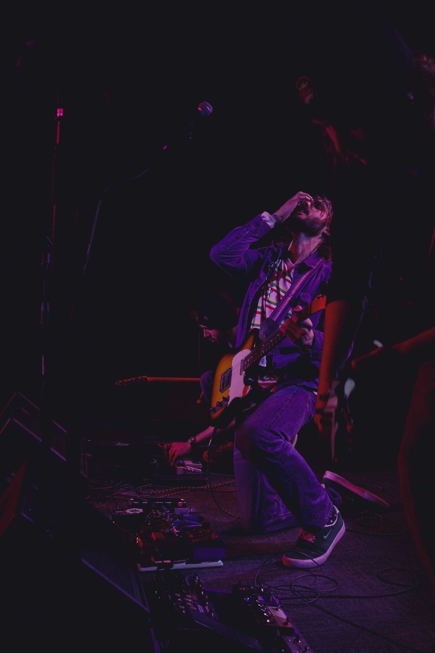 Guitar performer in dark concert venue illuminated by purple stage lighting during live show.