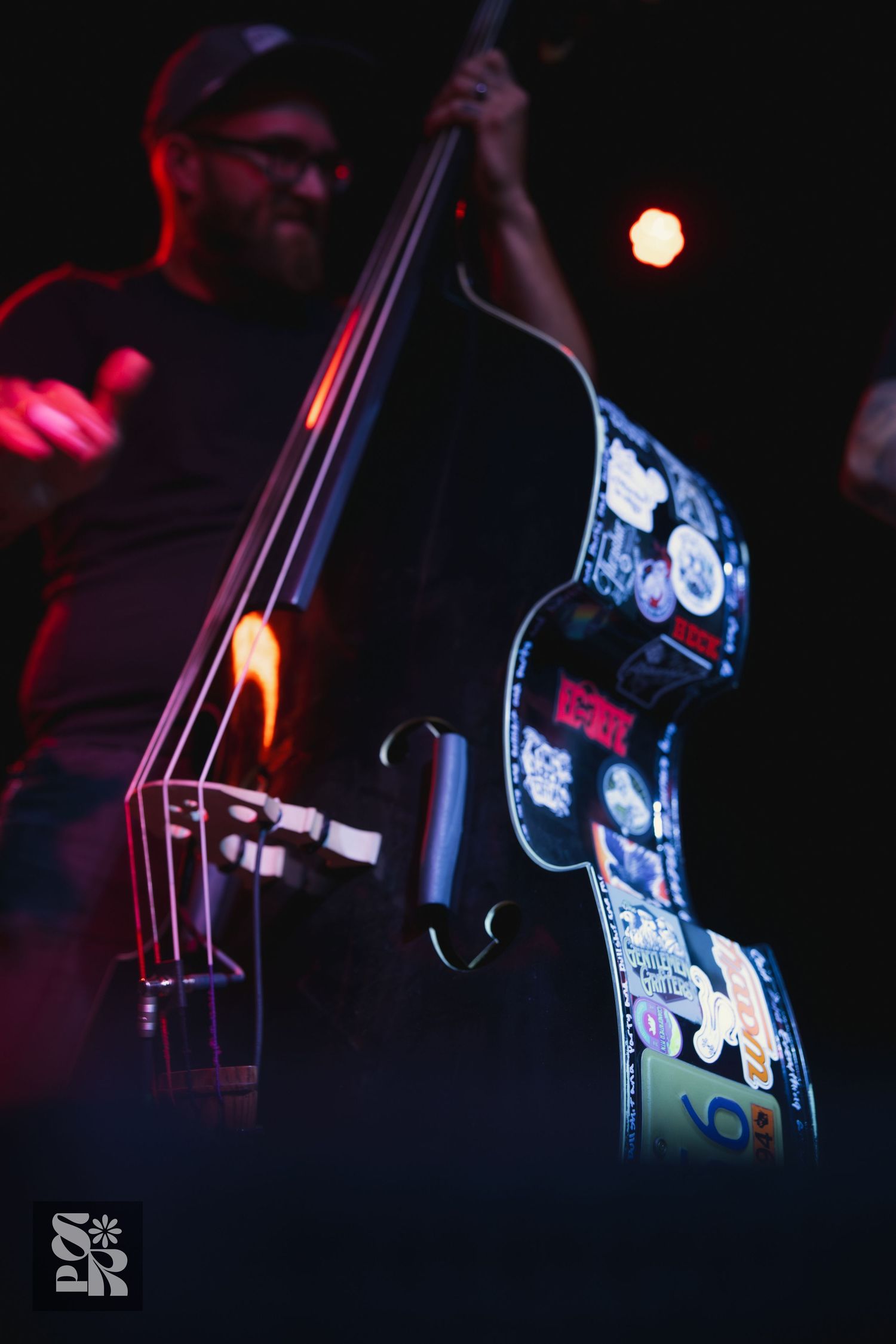 Close-up shots of an upright bass being played in dark lighting with red stage illumination.