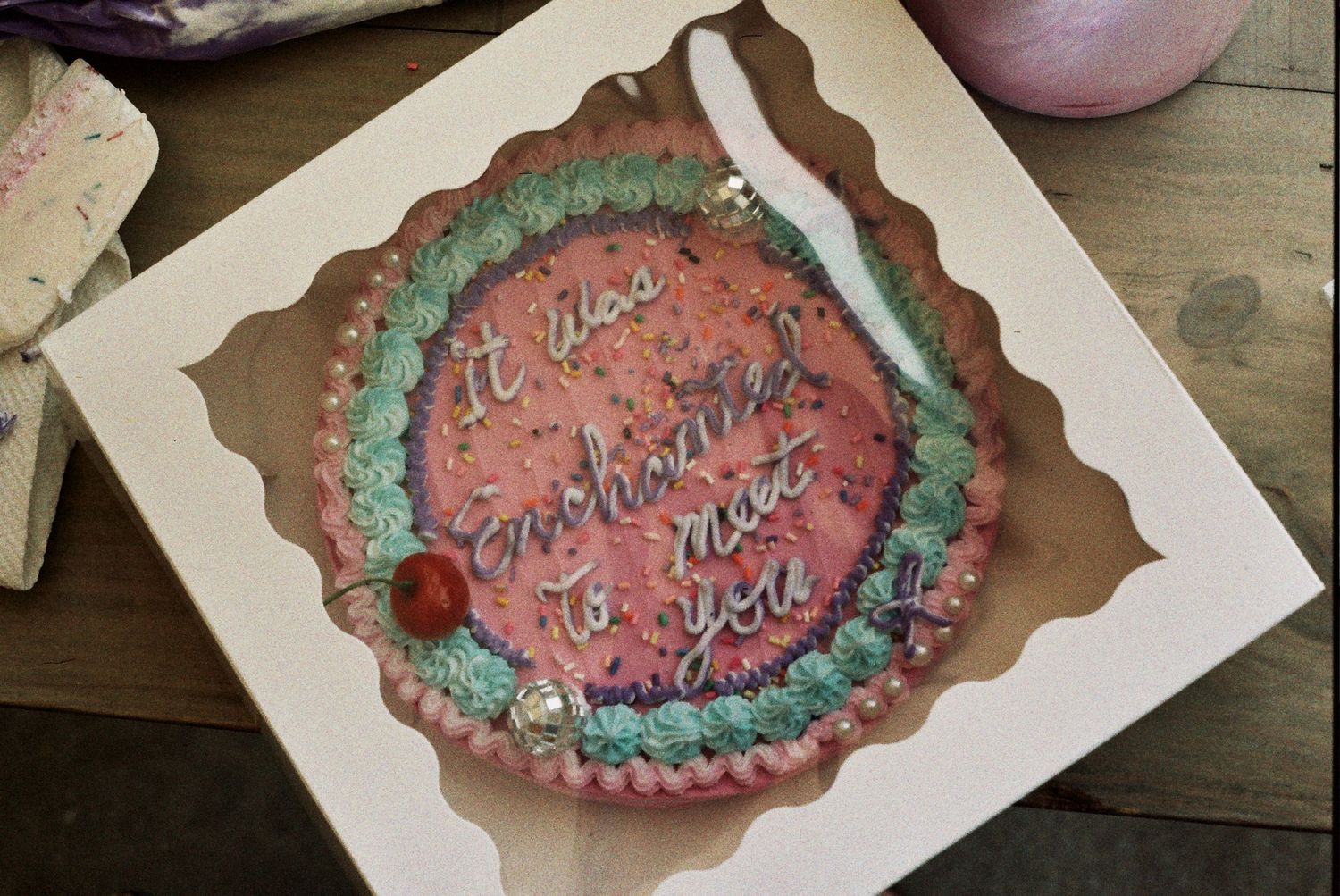 Crappy Cake Art by Anna Lanbury Chicago, IL