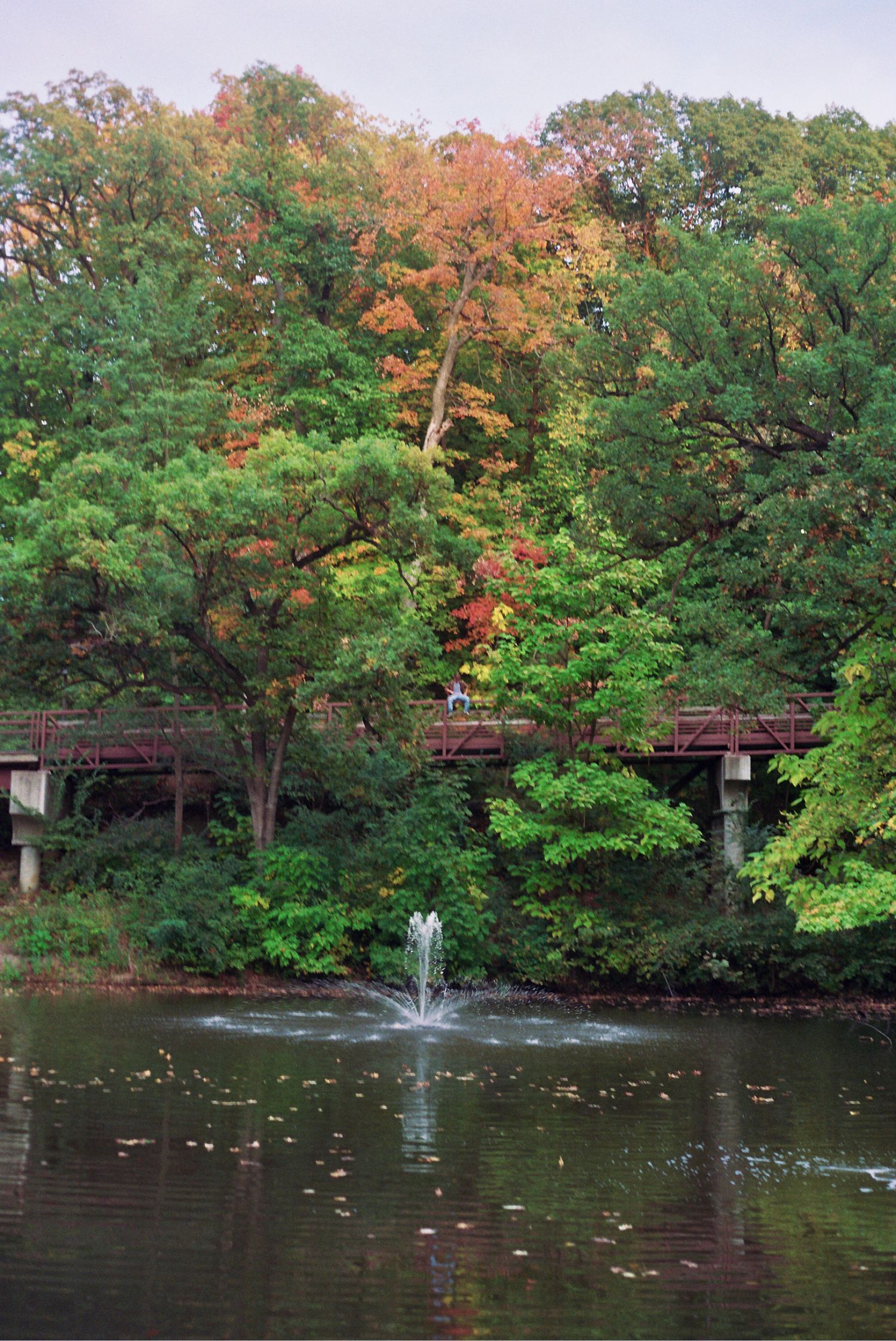 Autumn park pond with fountain, red footbridge, and colorful fall foliage in lush green forest setting.