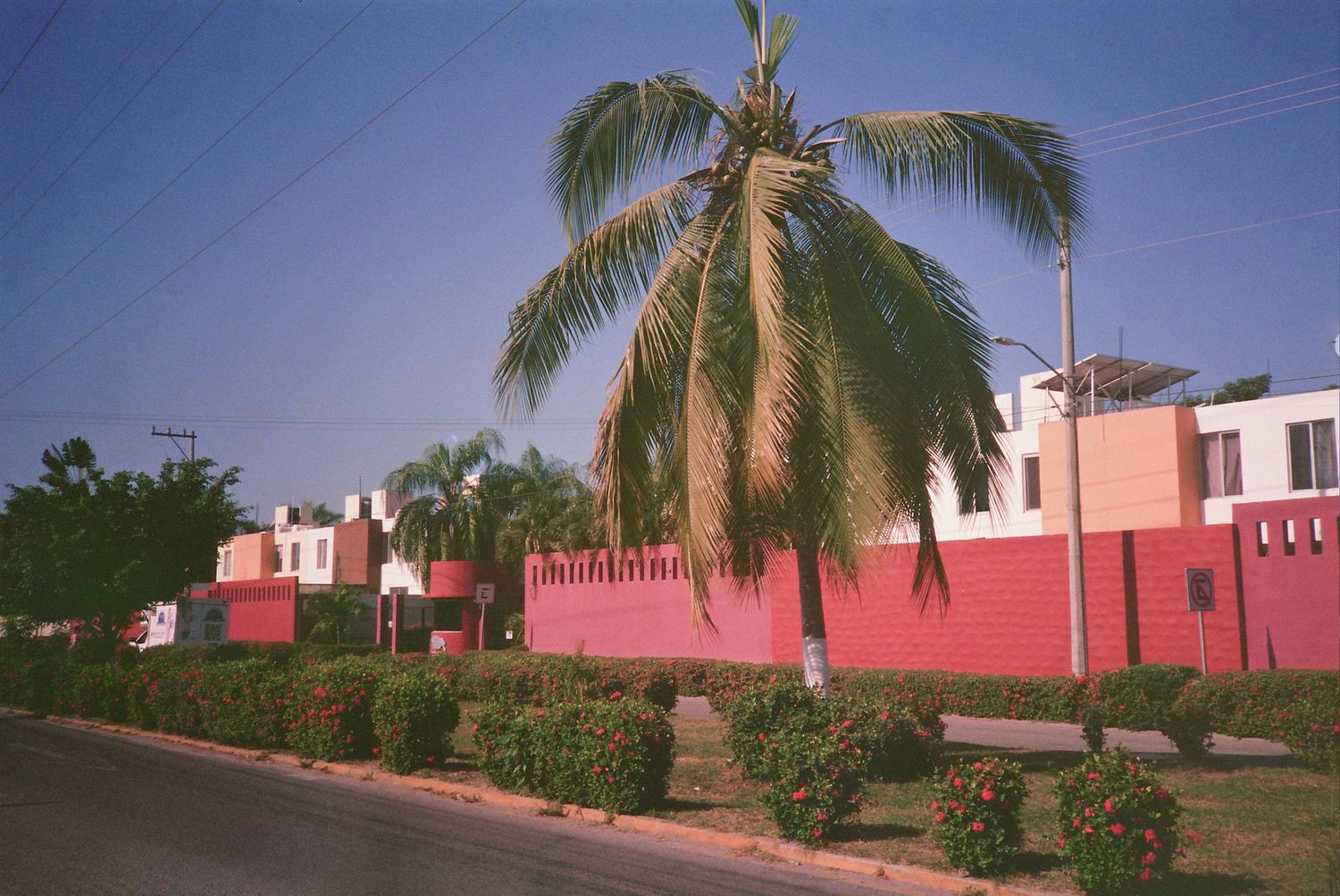 Red painted walls and buildings line a street beside a tall palm tree in a sunny tropical neighborhood.