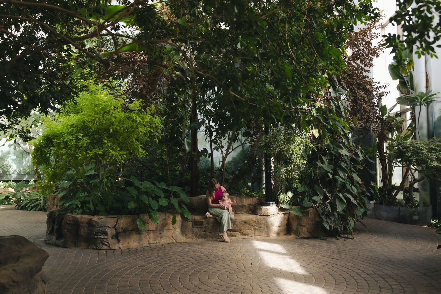 Person sitting on a stone bench surrounded by lush tropical plants inside a botanical garden greenhouse.