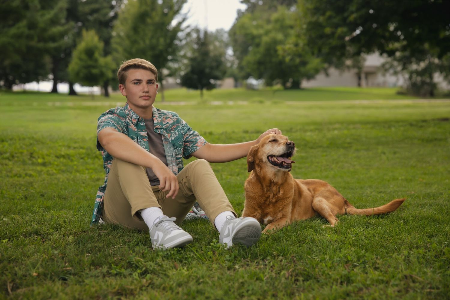 Six sequential images show someone lounging on grass with a golden retriever dog in a sunny park.