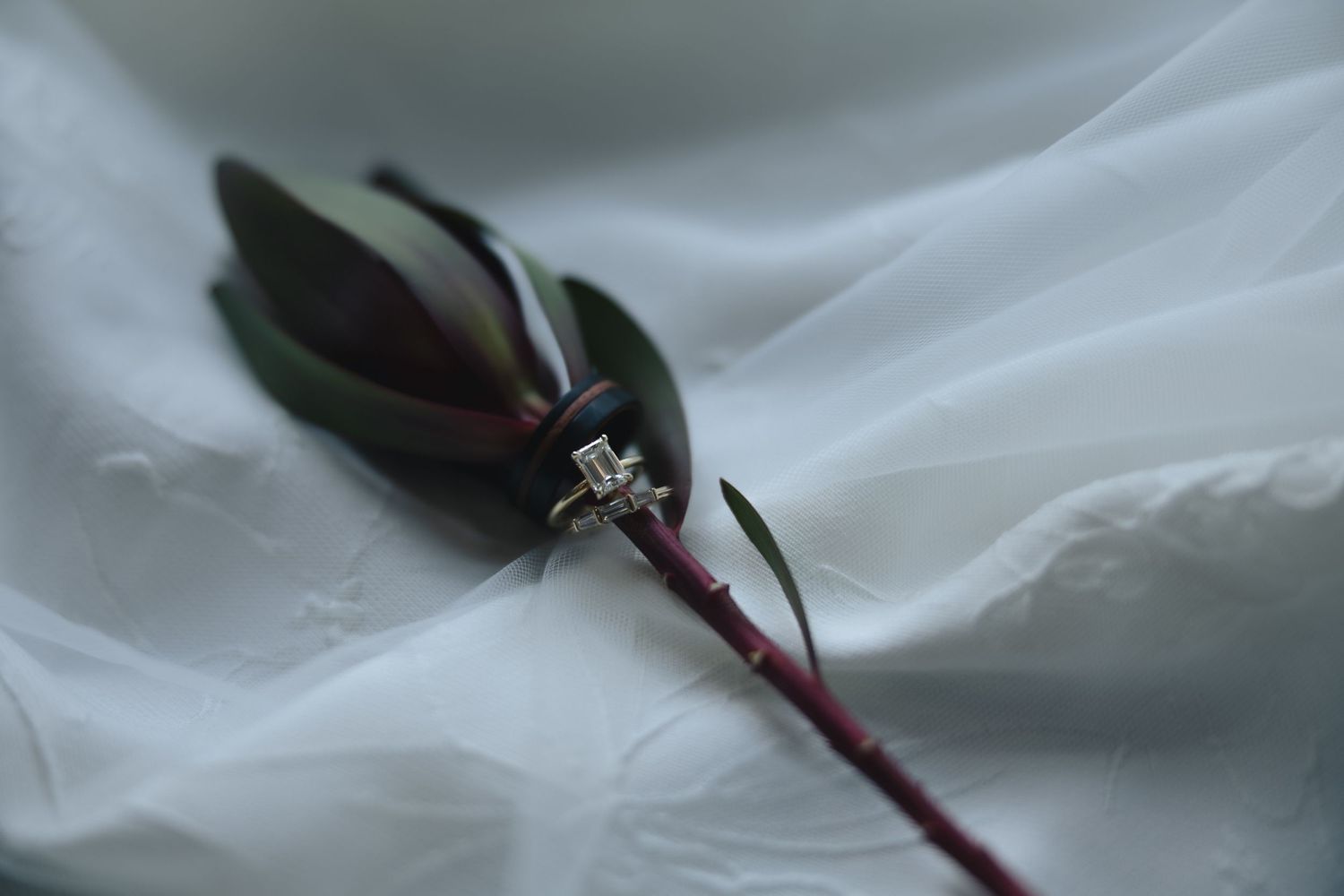 Diamond engagement ring resting on a dark red flower stem against soft white fabric.