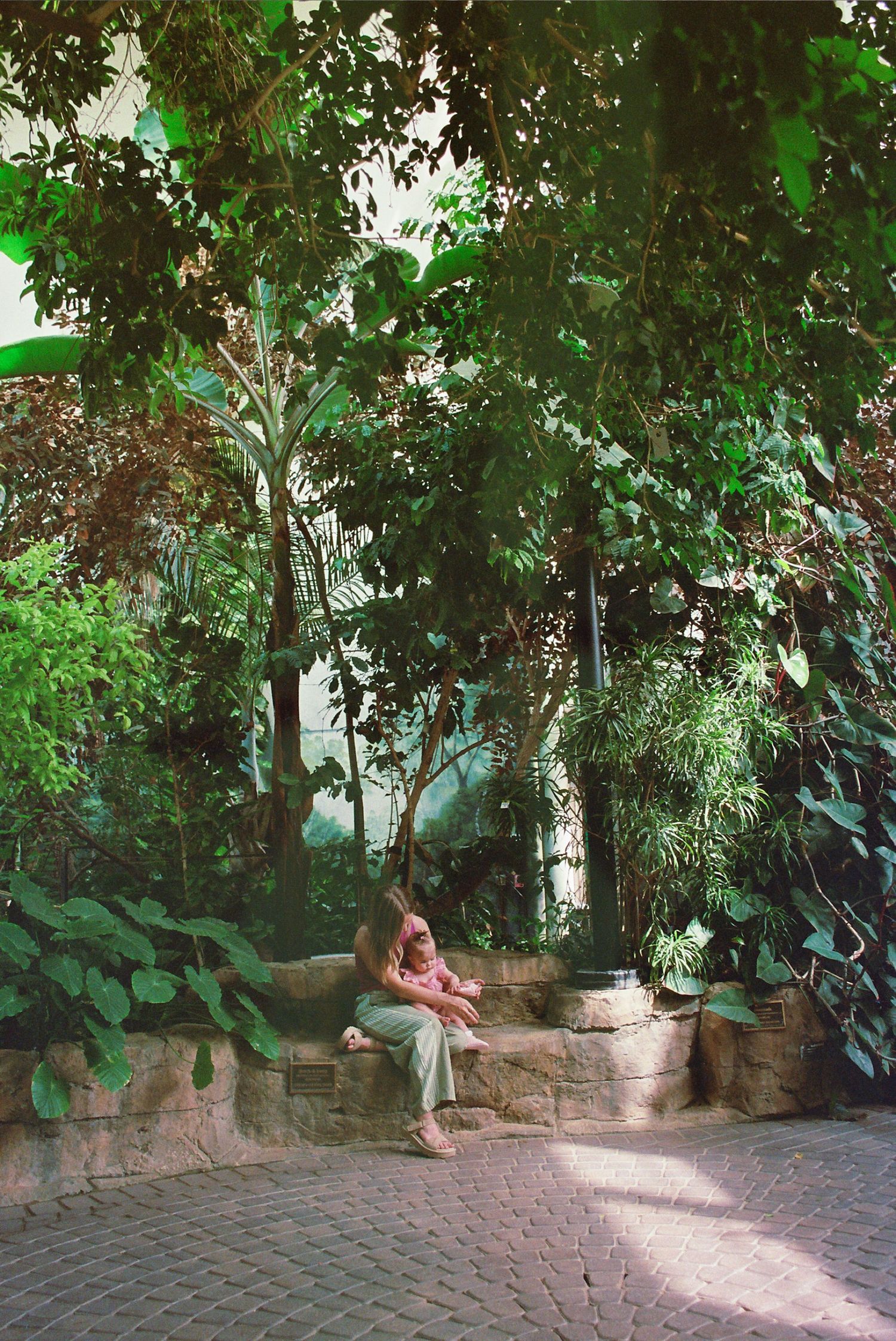 Woman sitting on a stone bench surrounded by lush tropical greenery in a botanical garden.