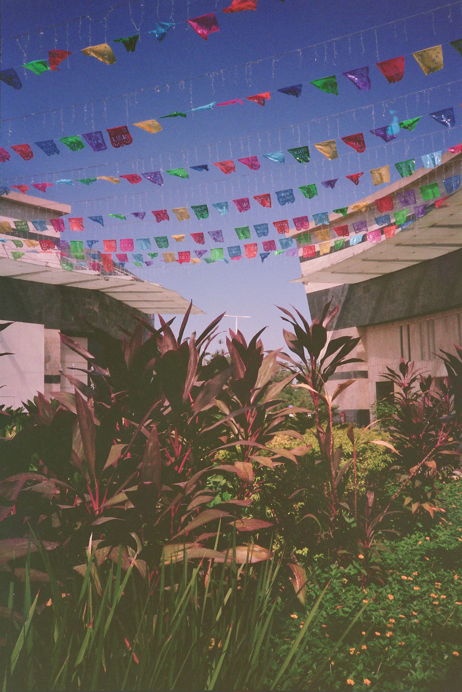 Colorful triangular papel picado flags strung between concrete pillars above lush tropical plants under a clear blue sky.