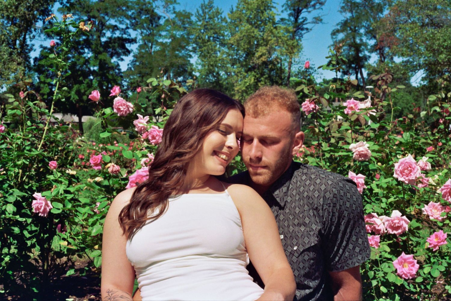 Couple sharing romantic moments in a blooming rose garden with pink flowers and green foliage.