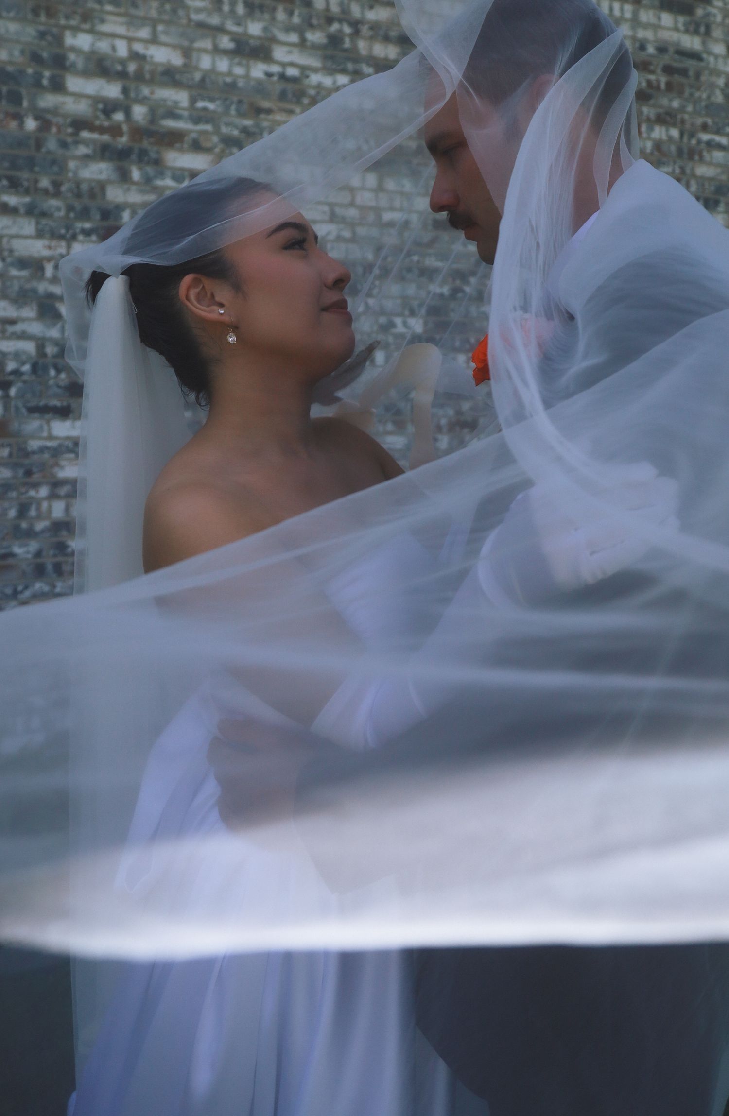 A romantic wedding moment with flowing sheer veil dramatically draped around couple against rustic brick wall.