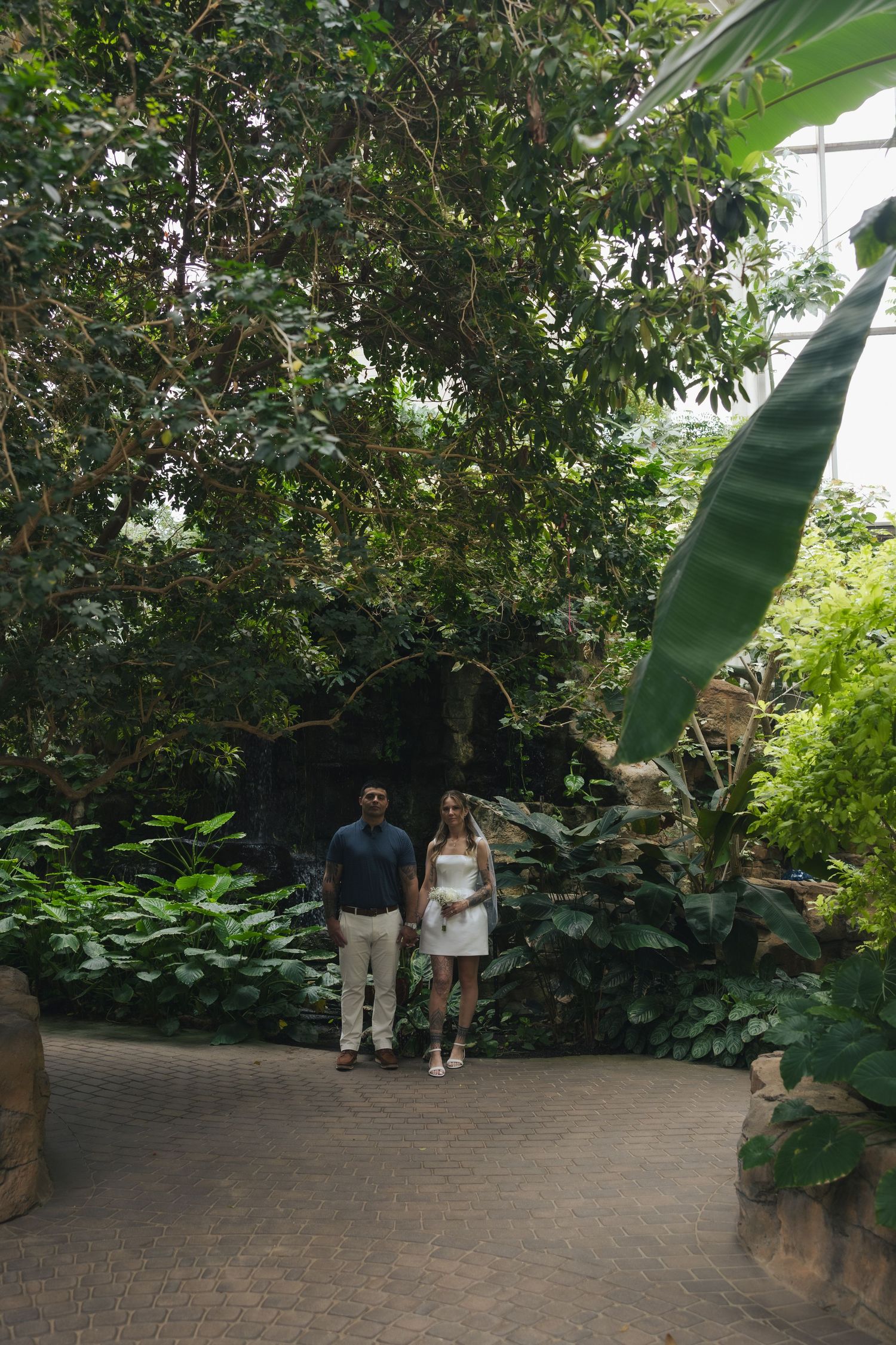 Couple standing together on a path inside a lush tropical greenhouse surrounded by green plants.
