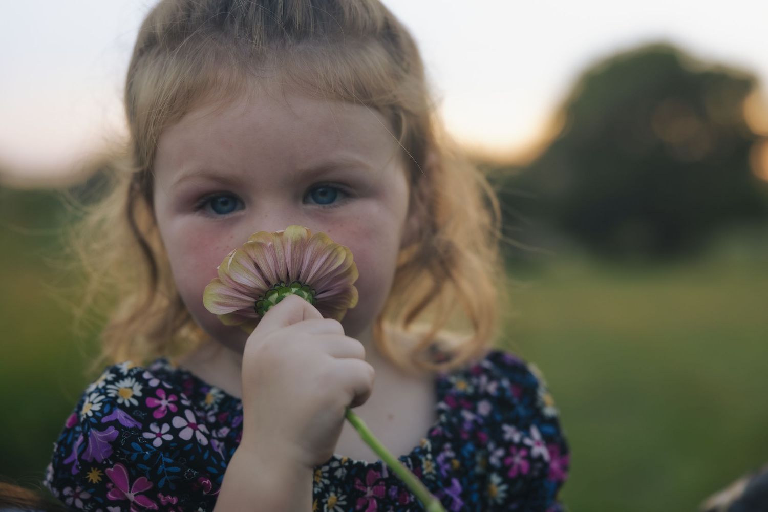 A series of six sequential photos showing someone holding and smelling a delicate pink flower in a sunny outdoor setting.