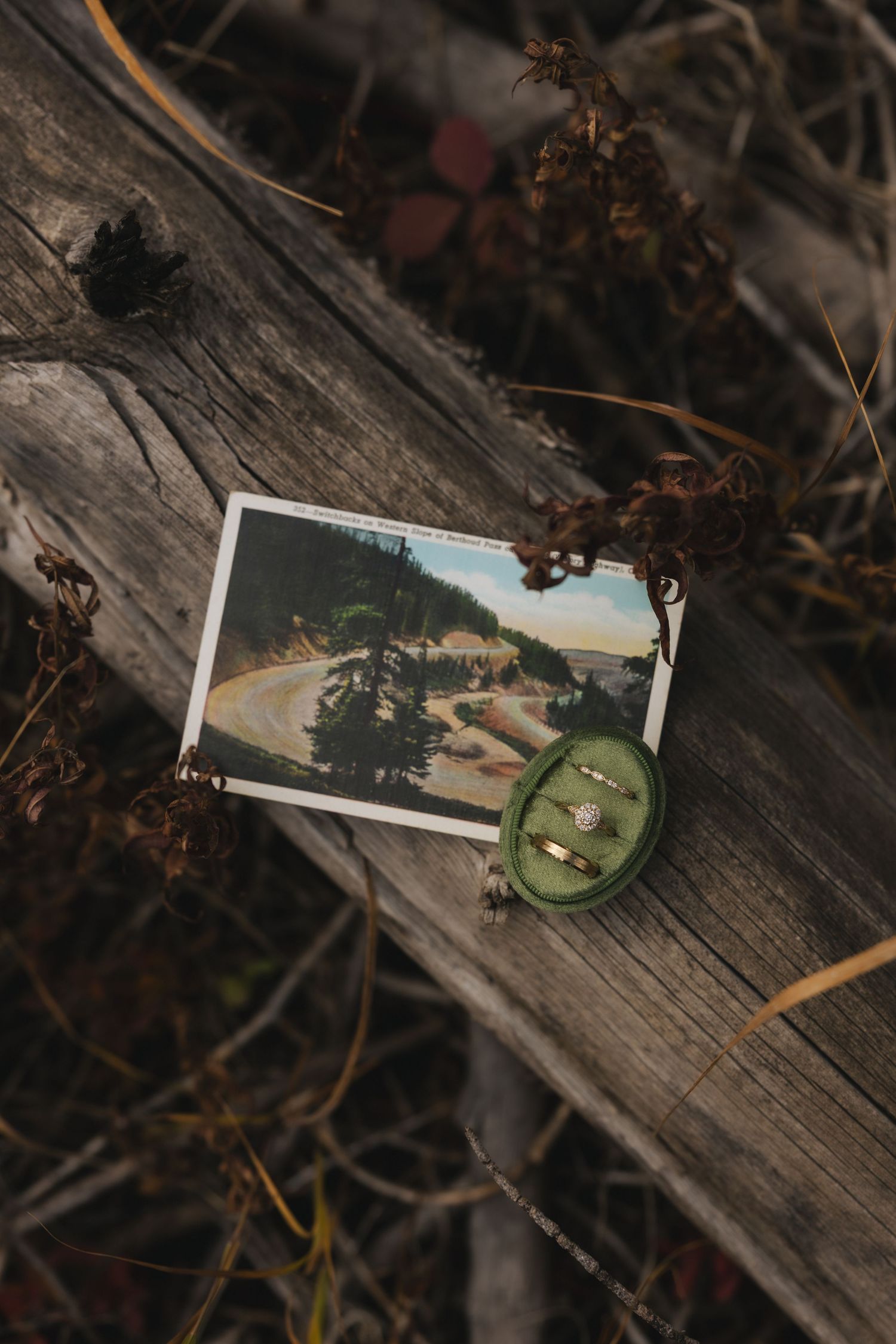 Old photographs scattered on weathered wood surface with dried twigs and branches creating a rustic composition.