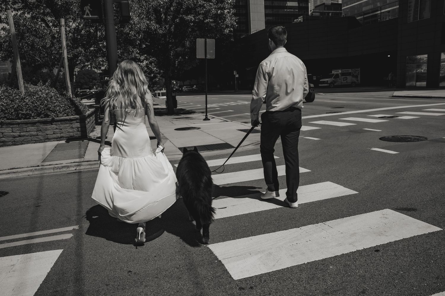 Black and white photo of people walking across a zebra crossing with a dog on a city street.