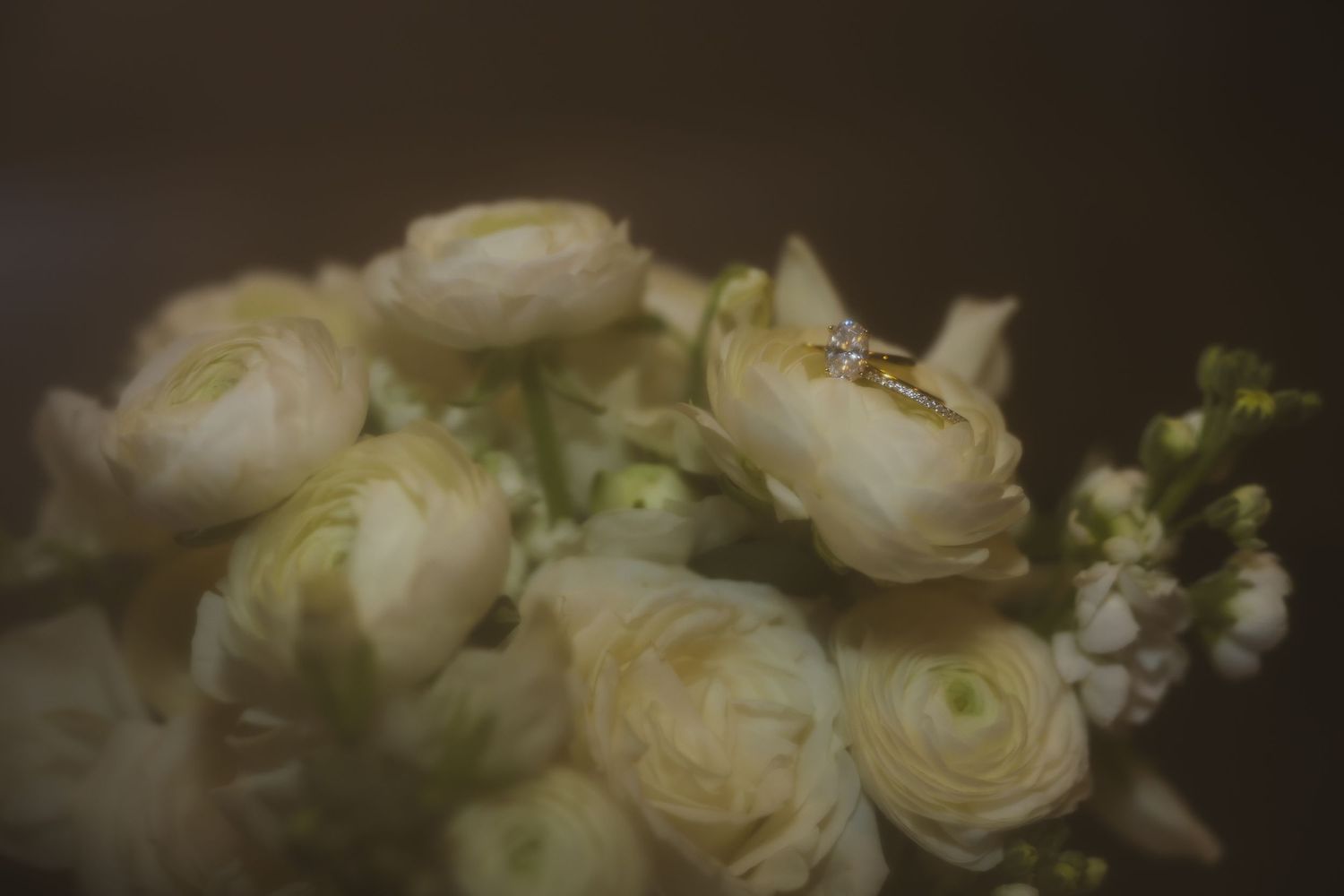 An ethereal bouquet of cream-colored ranunculus flowers with soft focus edges creating a dreamy vintage effect.