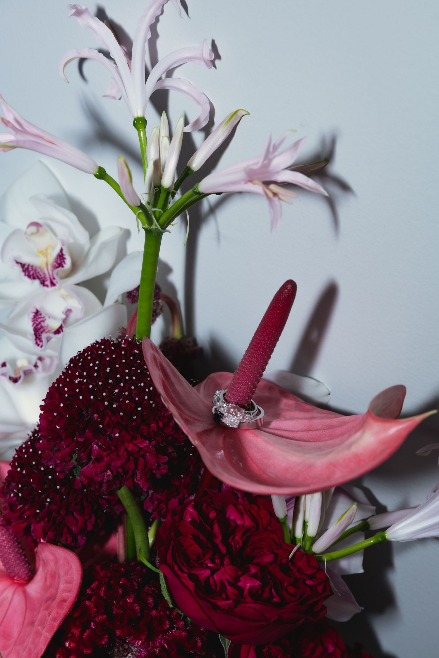 Pink lilies and deep burgundy flowers create a dramatic floral arrangement with soft petals against a light background.