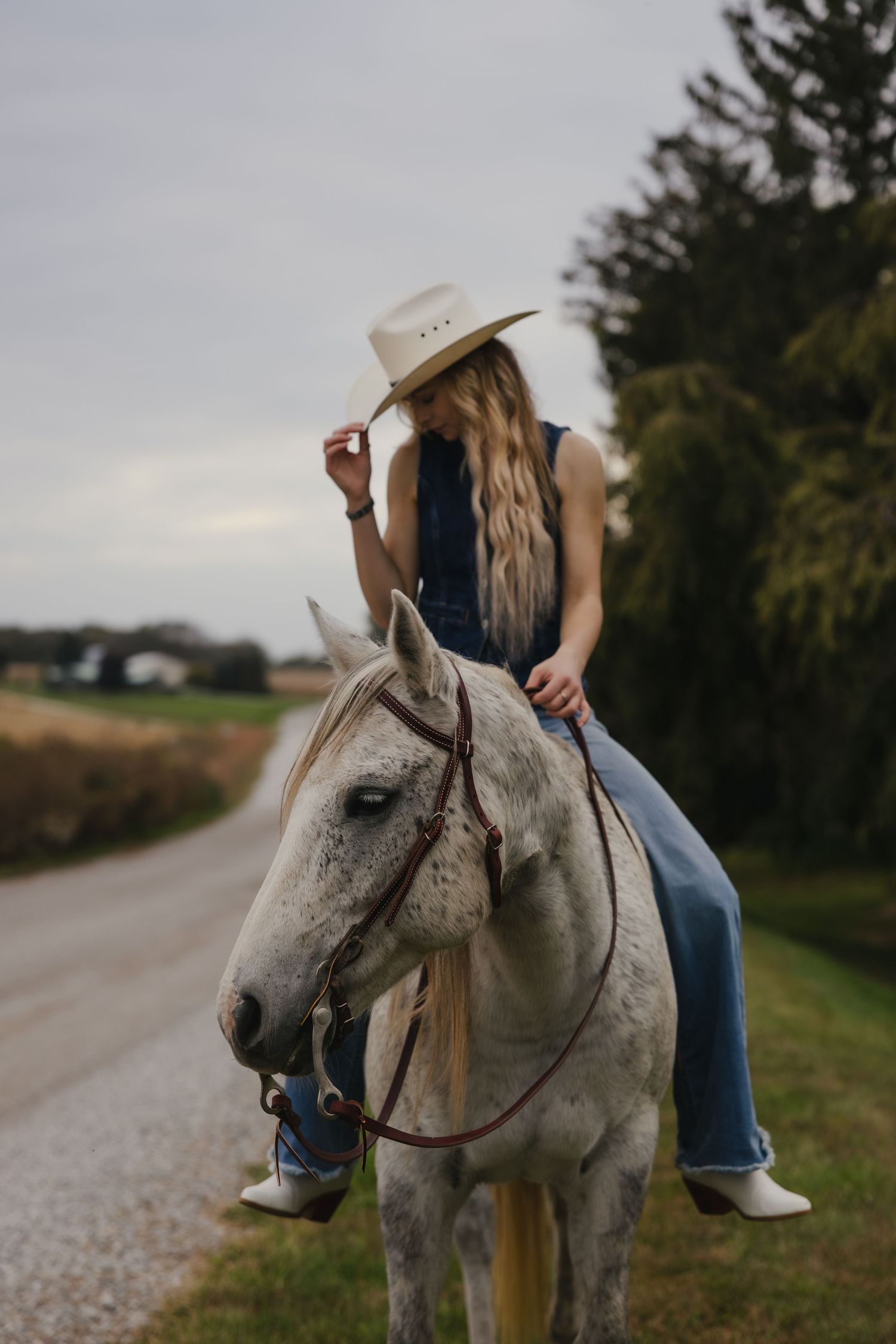 A gray pony stands on a gravel path while being ridden along a tree-lined road at dusk.