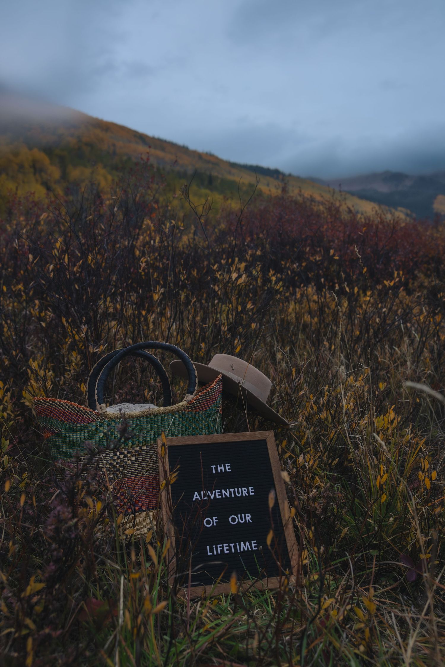 Small black letter boards spelling out 'The Adventure of Our Lifetime' displayed against a scenic mountain landscape.