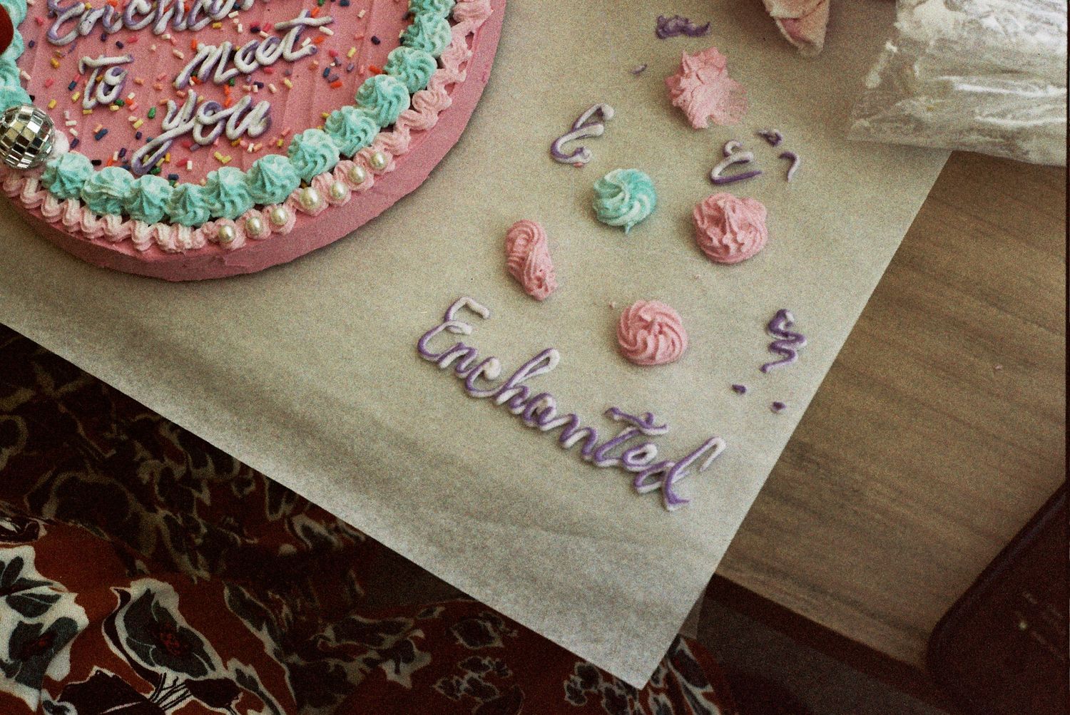 Crappy Cake Art by Anna Lanbury Chicago, IL