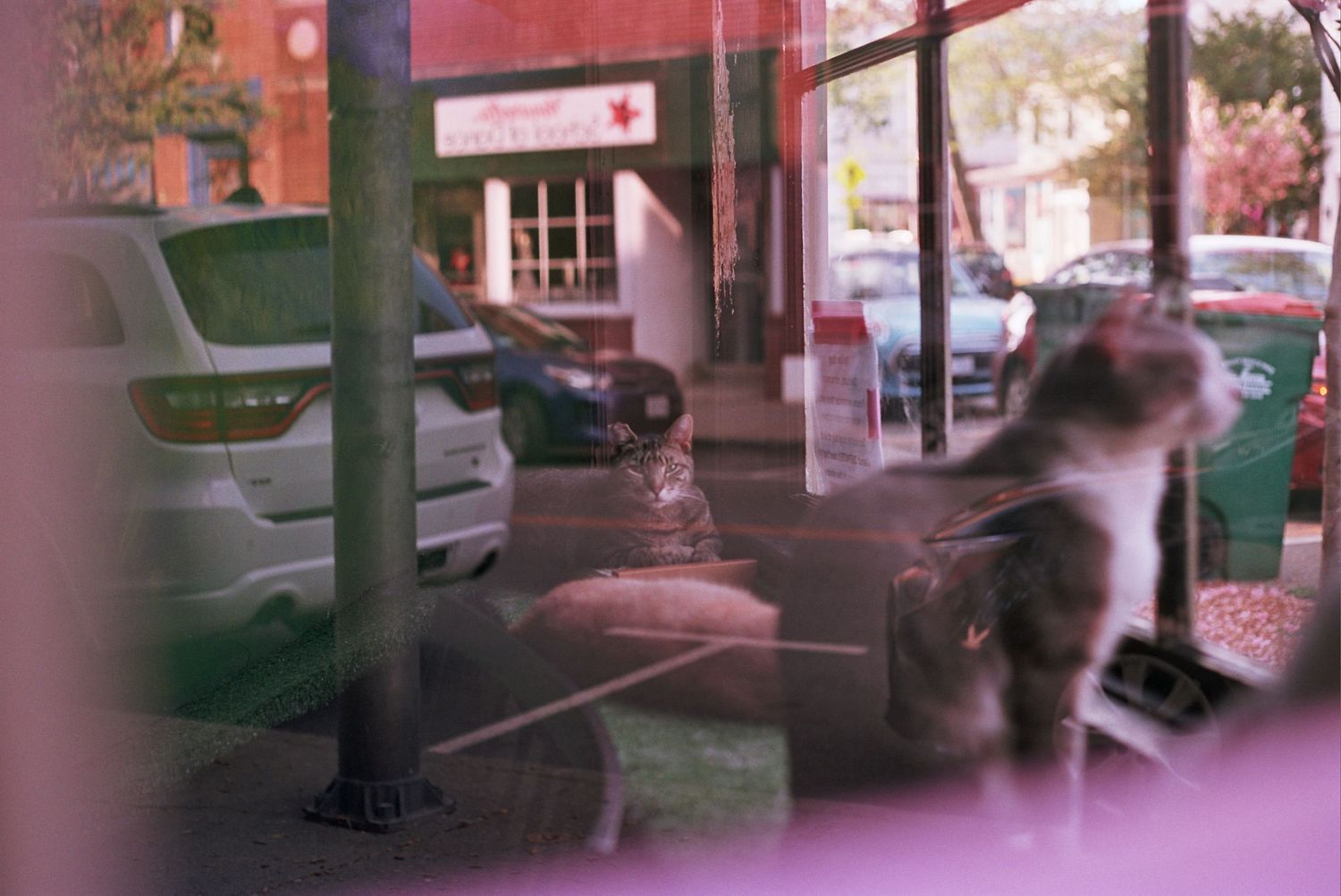 Blurry street view through window with silhouettes of parked cars and street lamps visible in warm evening light.