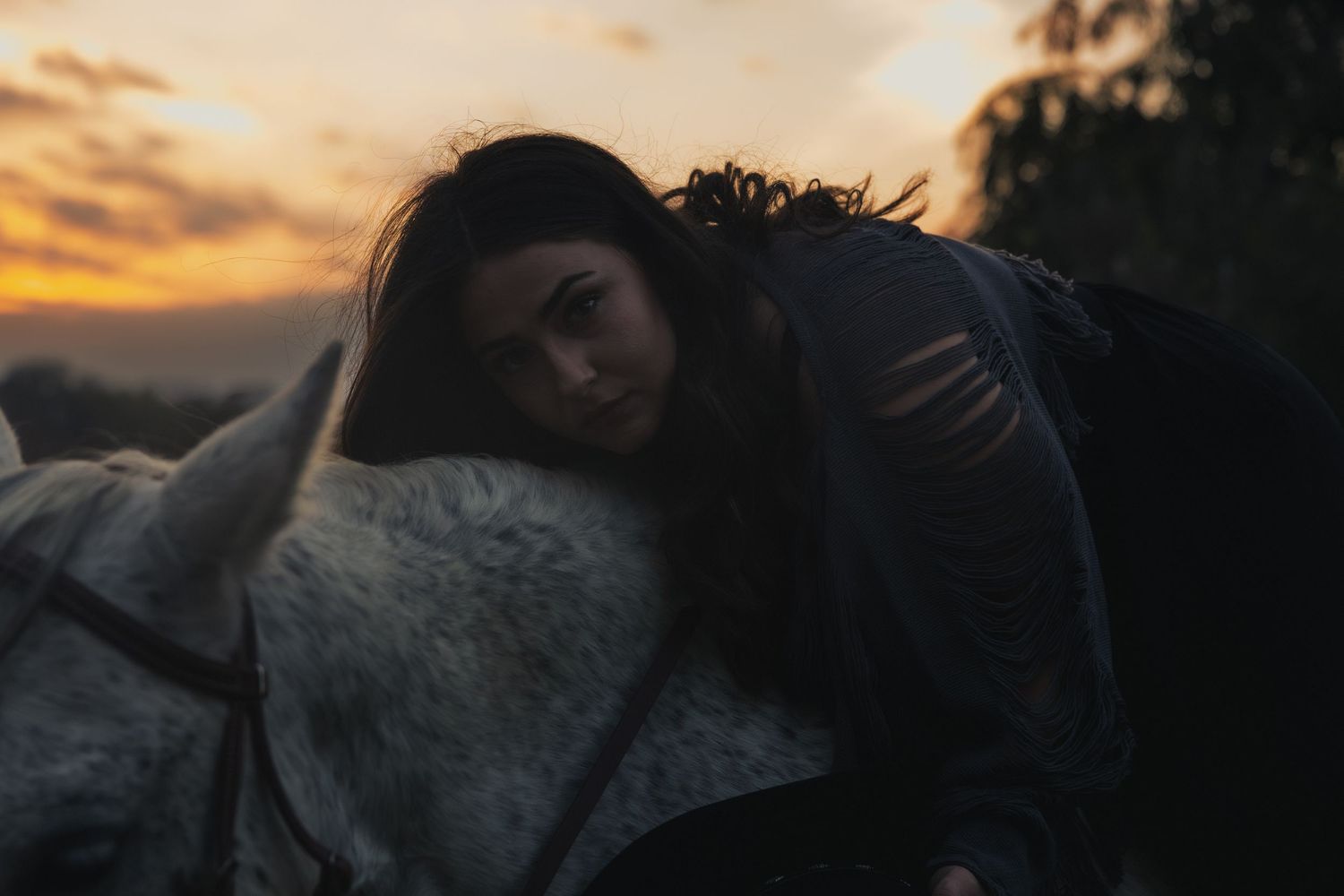 A person rests against a white horse during a golden sunset with silhouetted trees in the background.