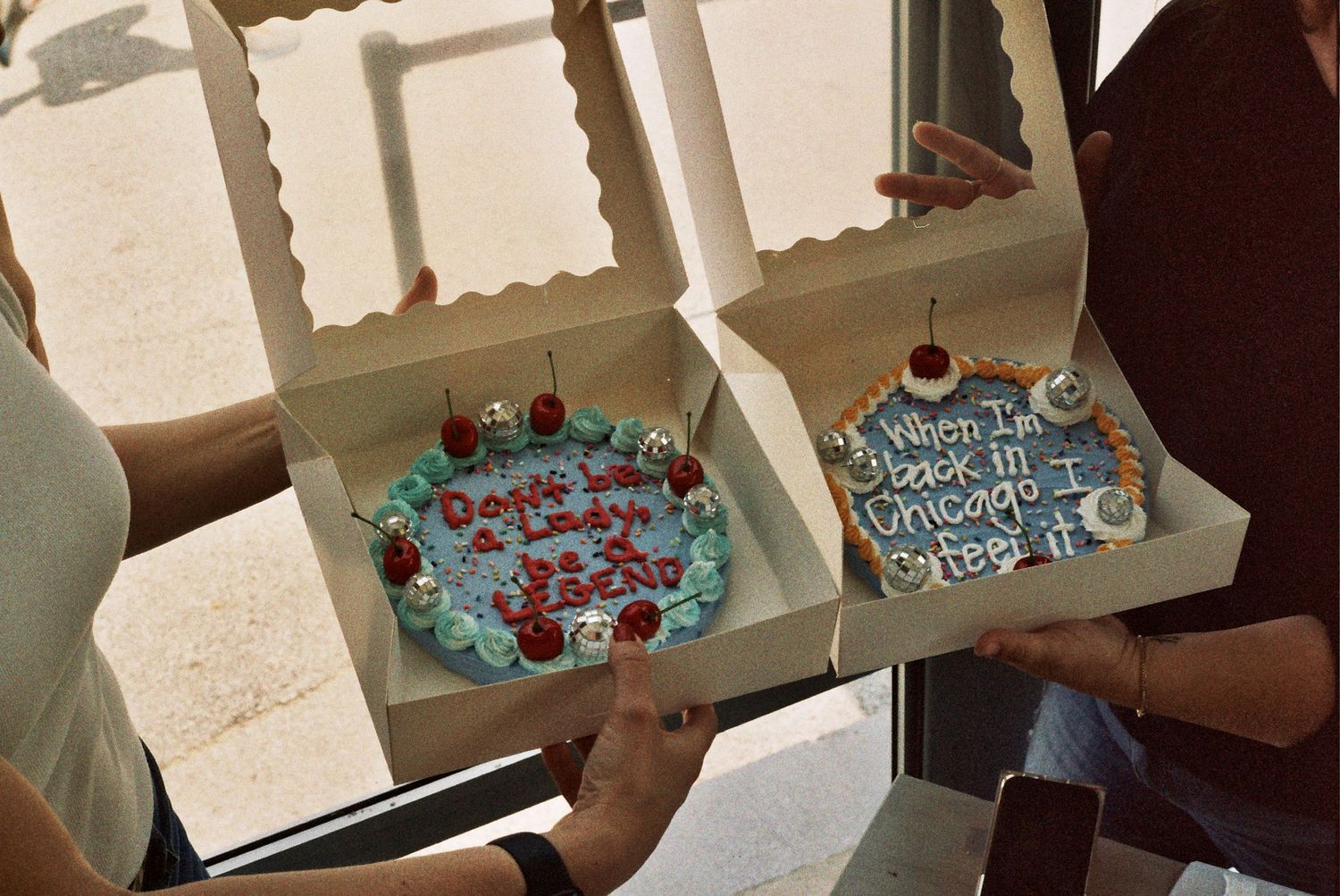 Crappy Cake Art by Anna Lanbury Chicago, IL