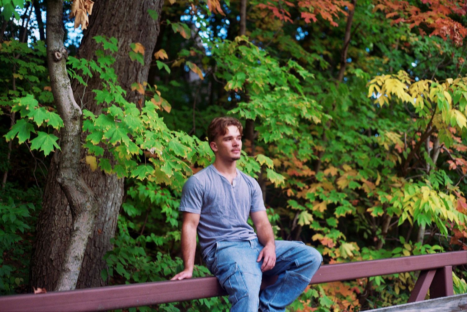 Young man in gray shirt and jeans sitting on a wooden fence surrounded by colorful autumn trees.
