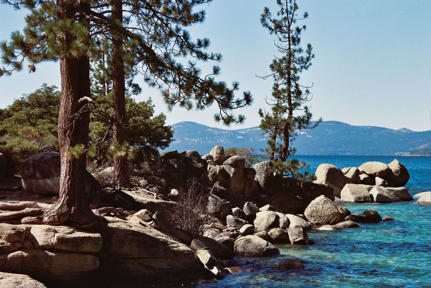 Rocky shoreline with pine trees overlooking crystal-clear blue Lake Tahoe waters and distant mountain views on a sunny day.