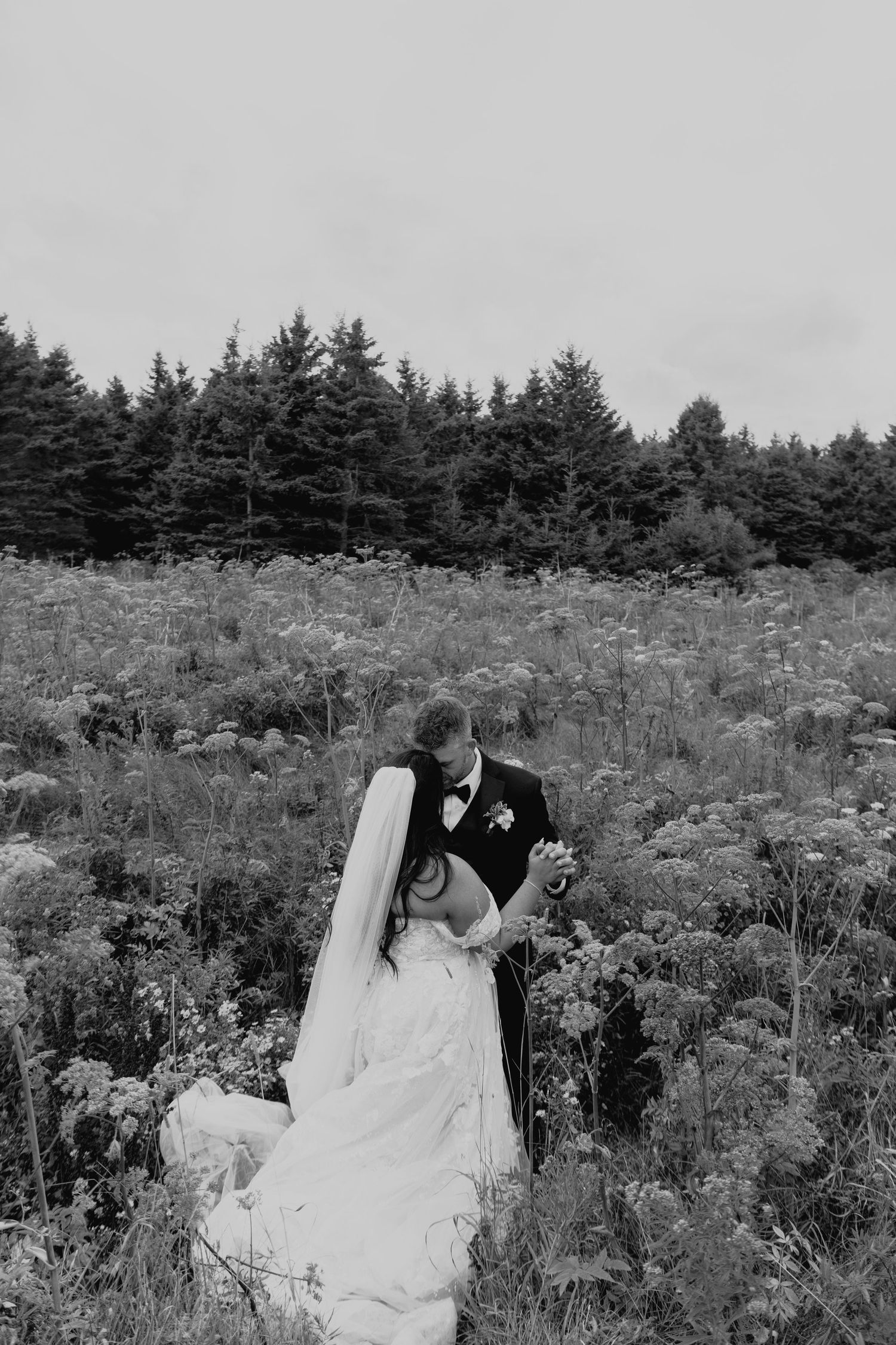 A romantic black and white wedding portrait in a field of wildflowers with pine trees.